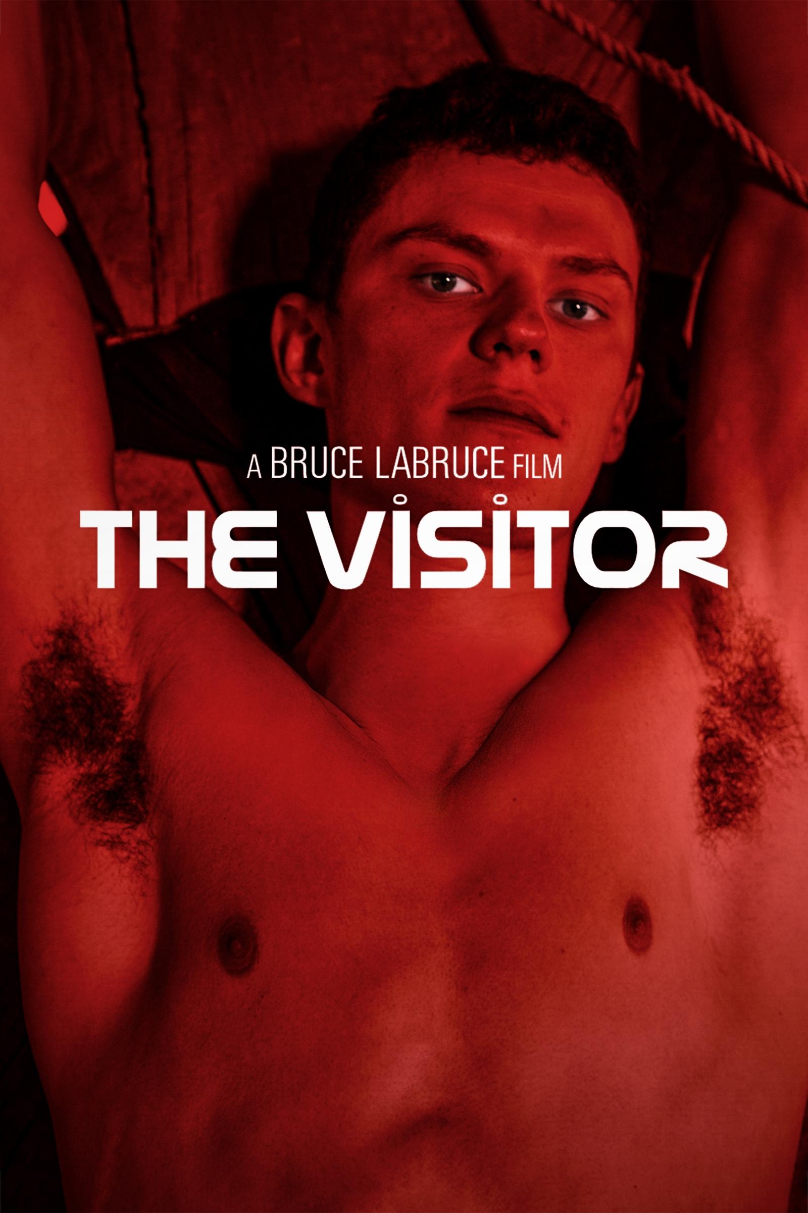 The Visitor poster