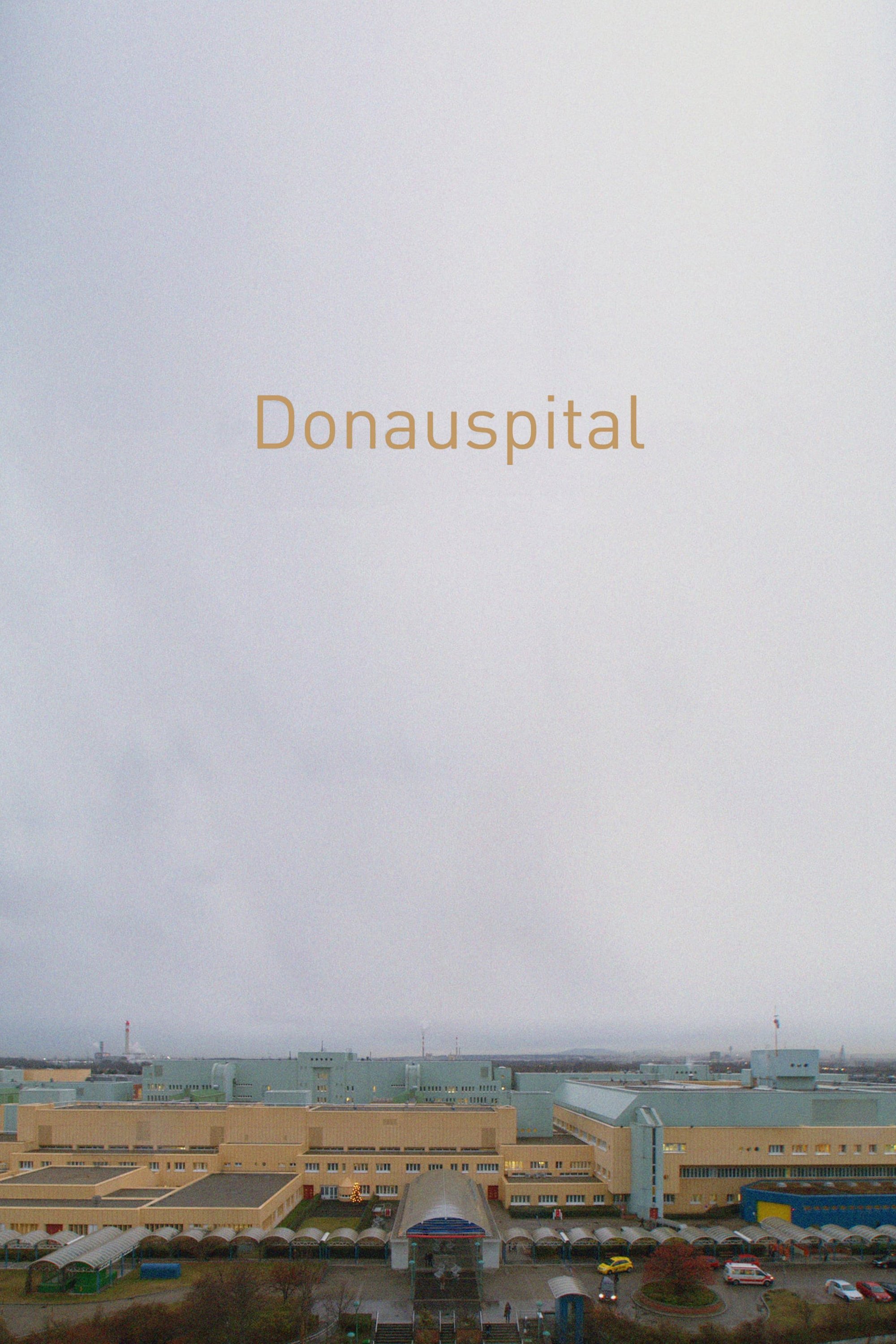 Donauspital poster
