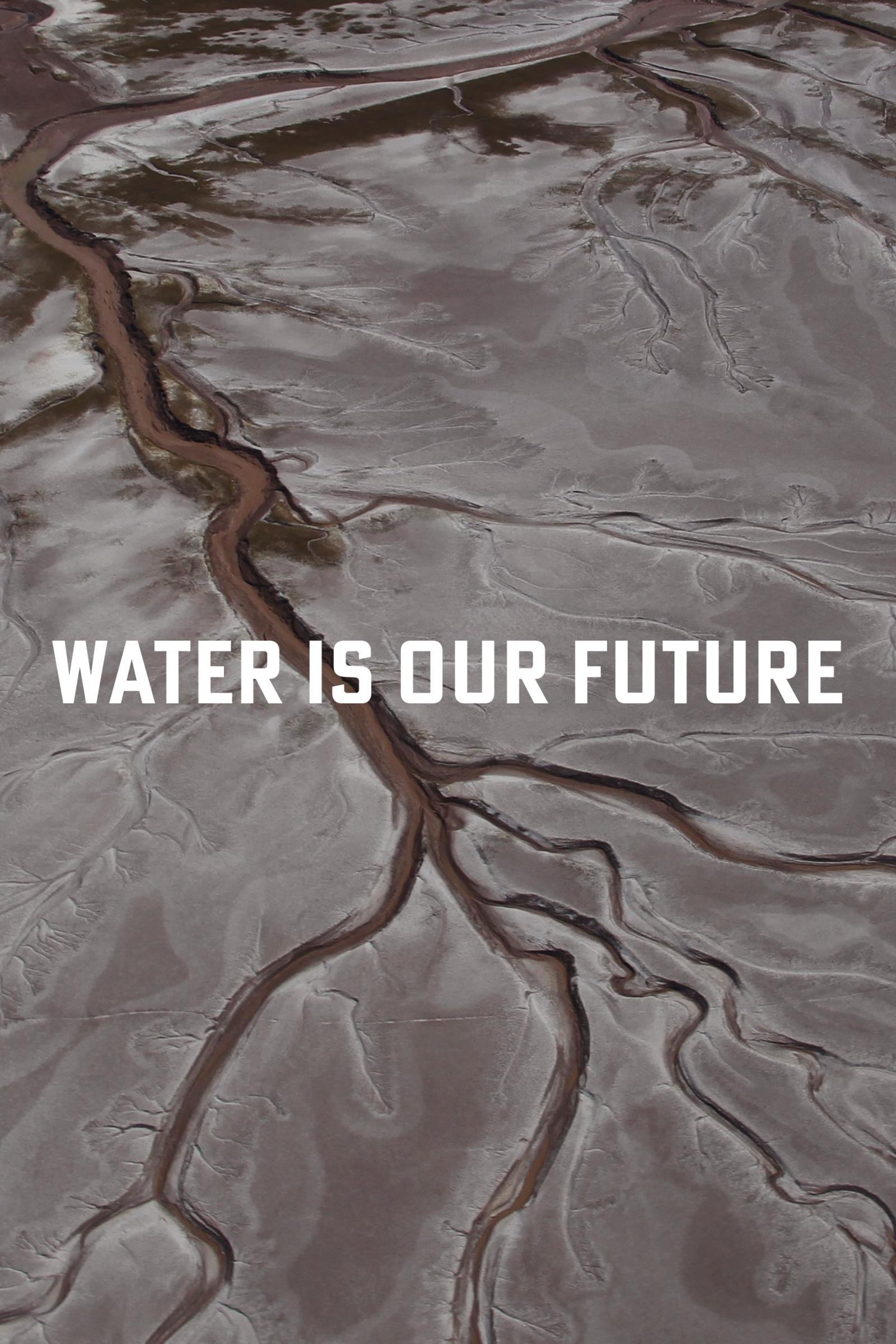 Water Is Our Future poster
