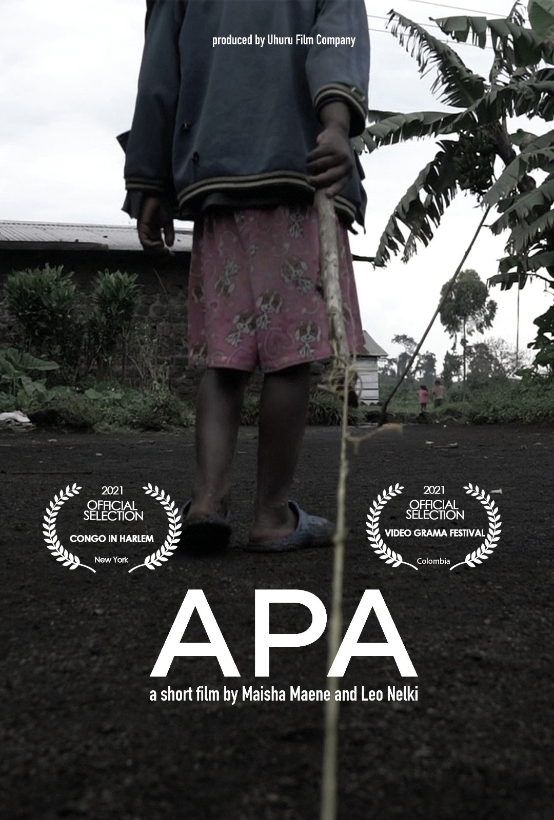 APA poster