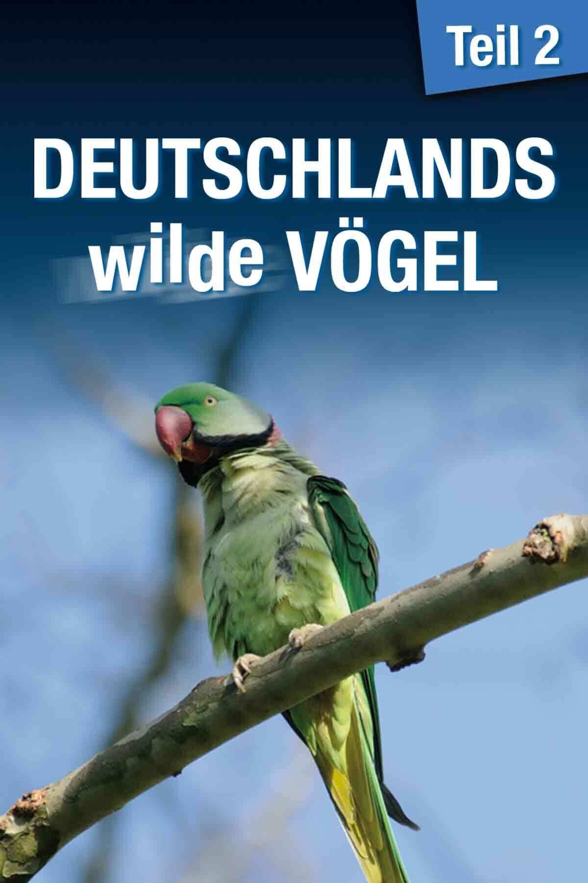Deutschlands Wilde Vögel 2 poster