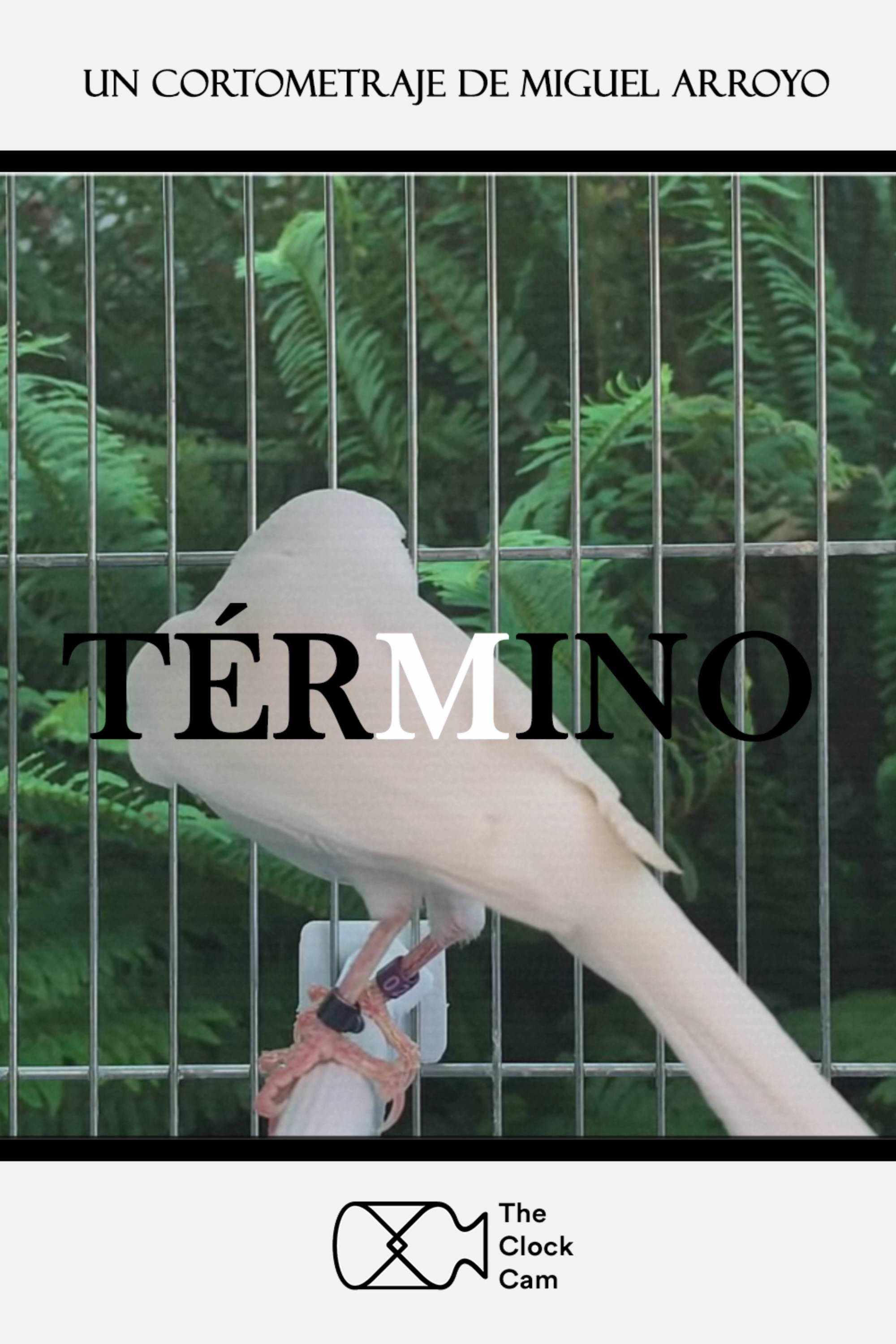 Term poster