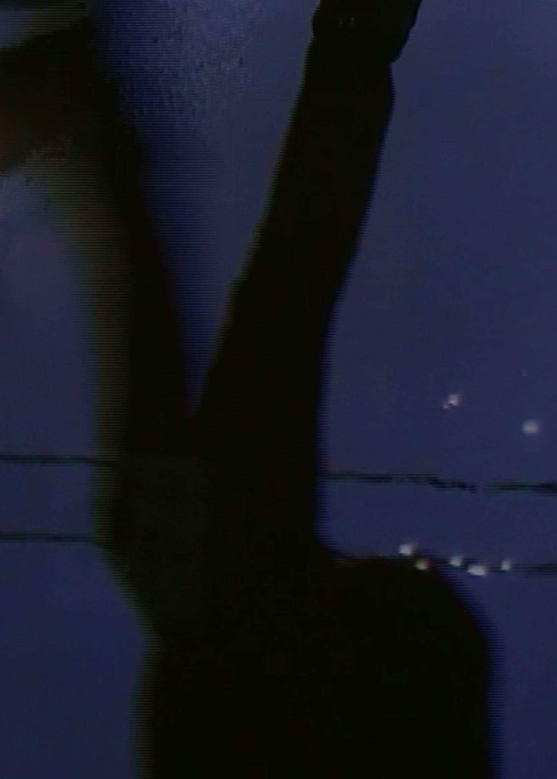 [W I N G S O F L O V E] poster