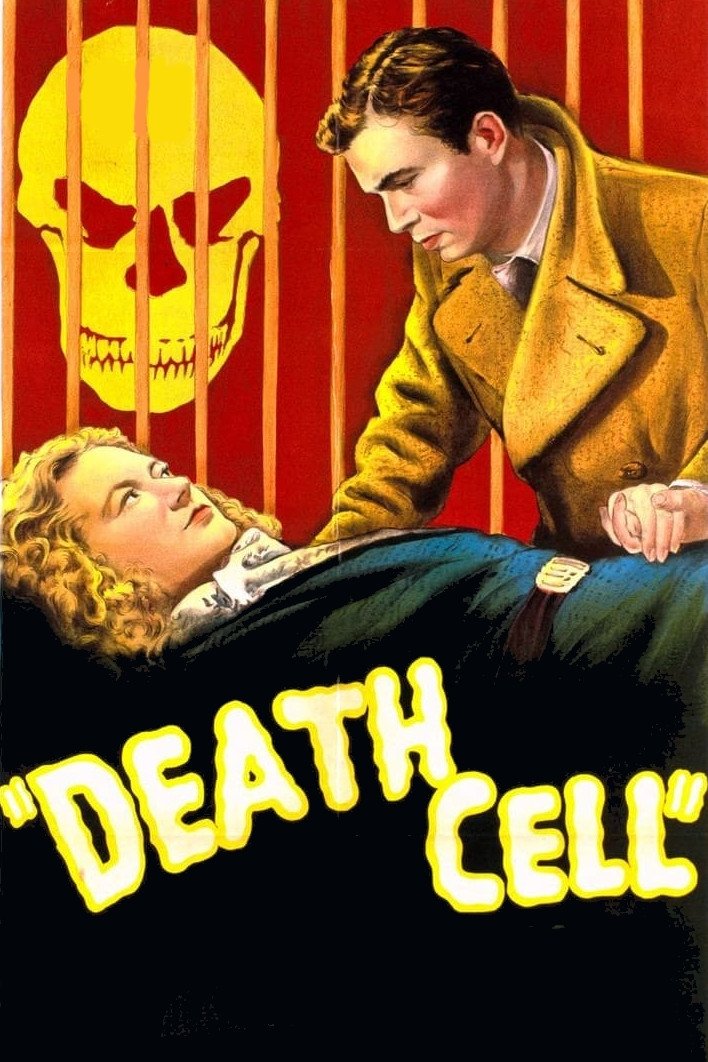 The Patient Vanishes poster