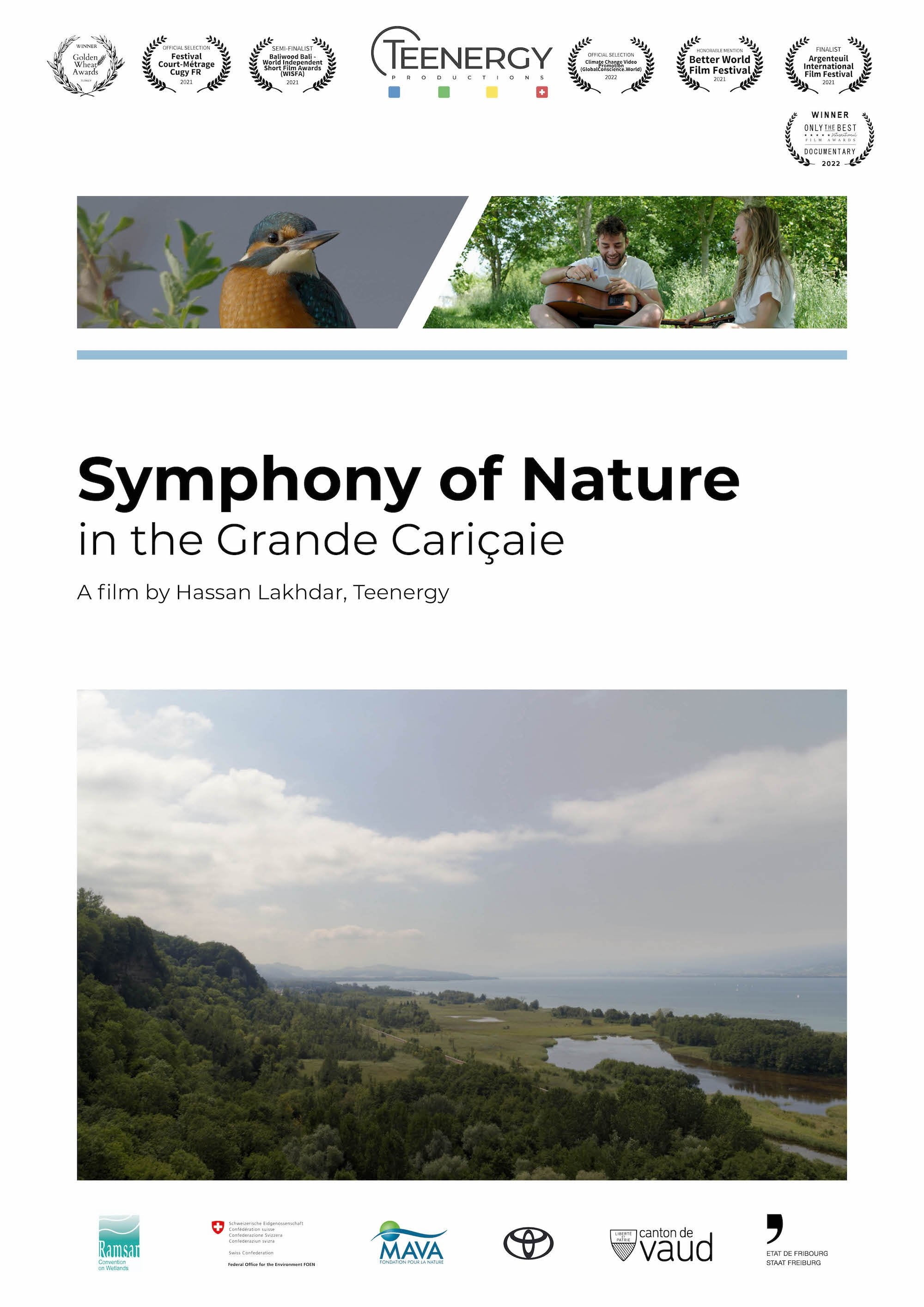 Symphonie de la nature dans la Grande Cariçaie poster