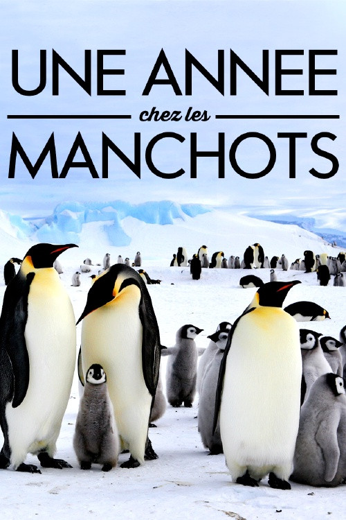 A Year With the Penguins poster