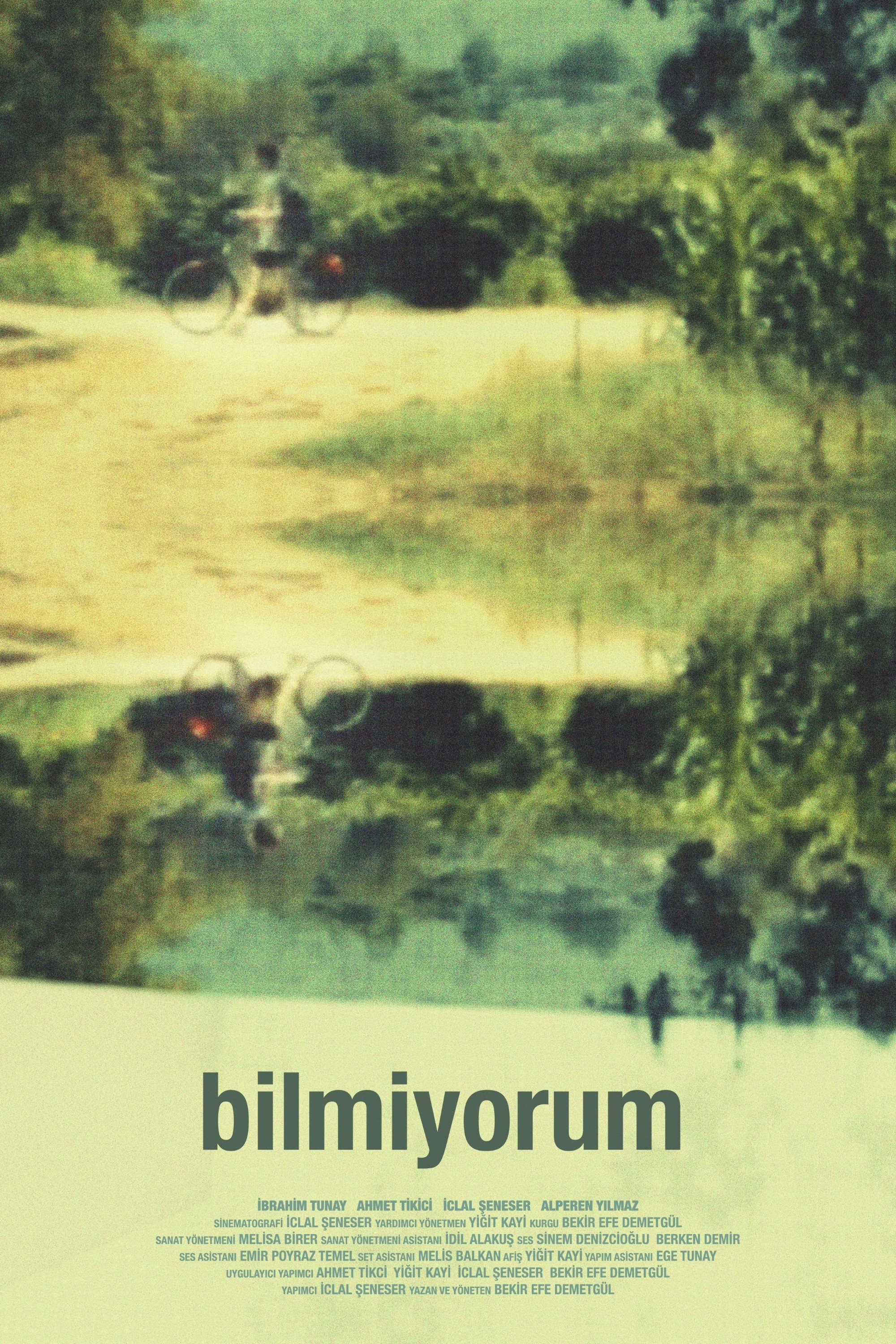 In Void poster