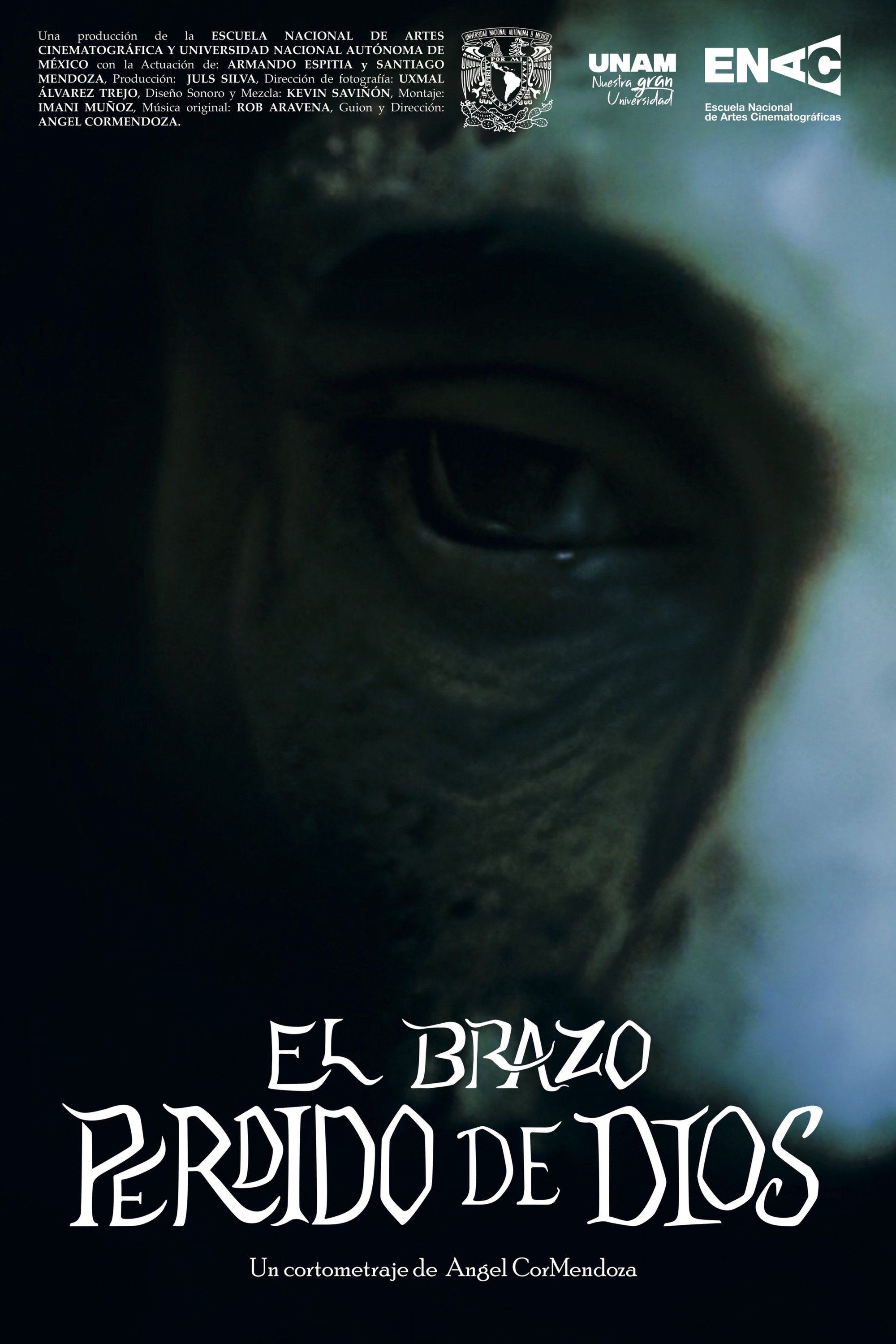 The Lost Arm of God poster