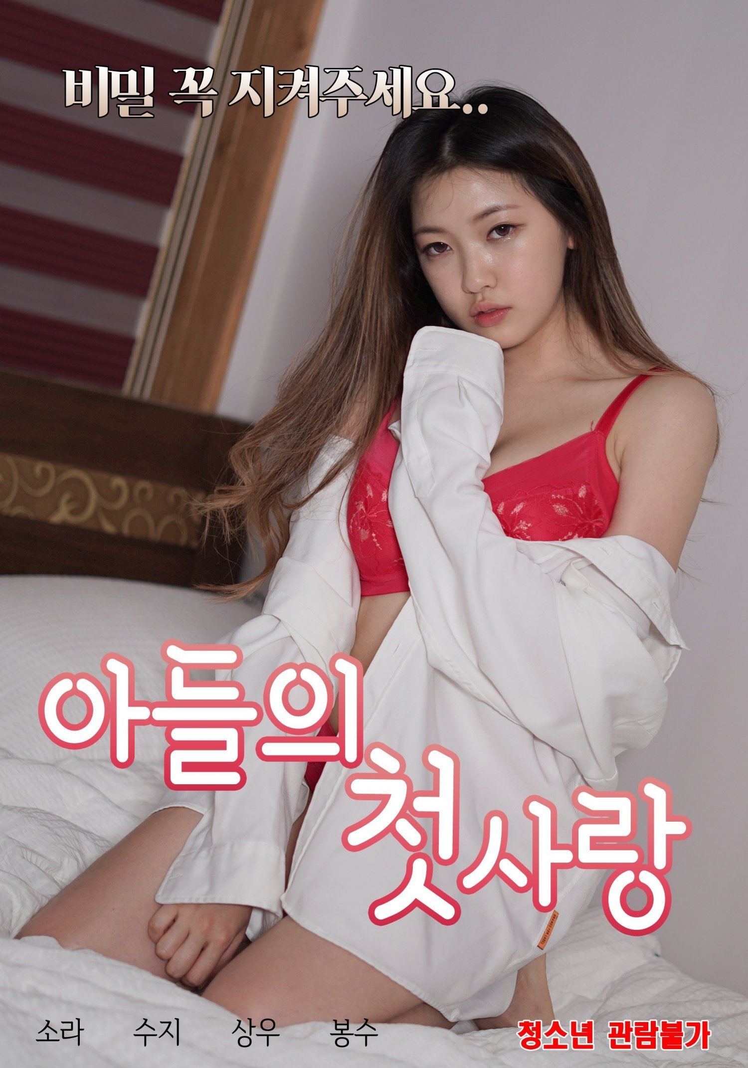 Son's First Love poster