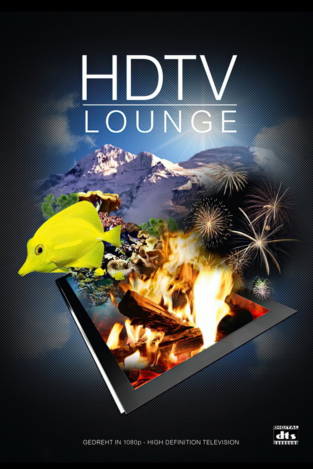 HDTV Lounge poster