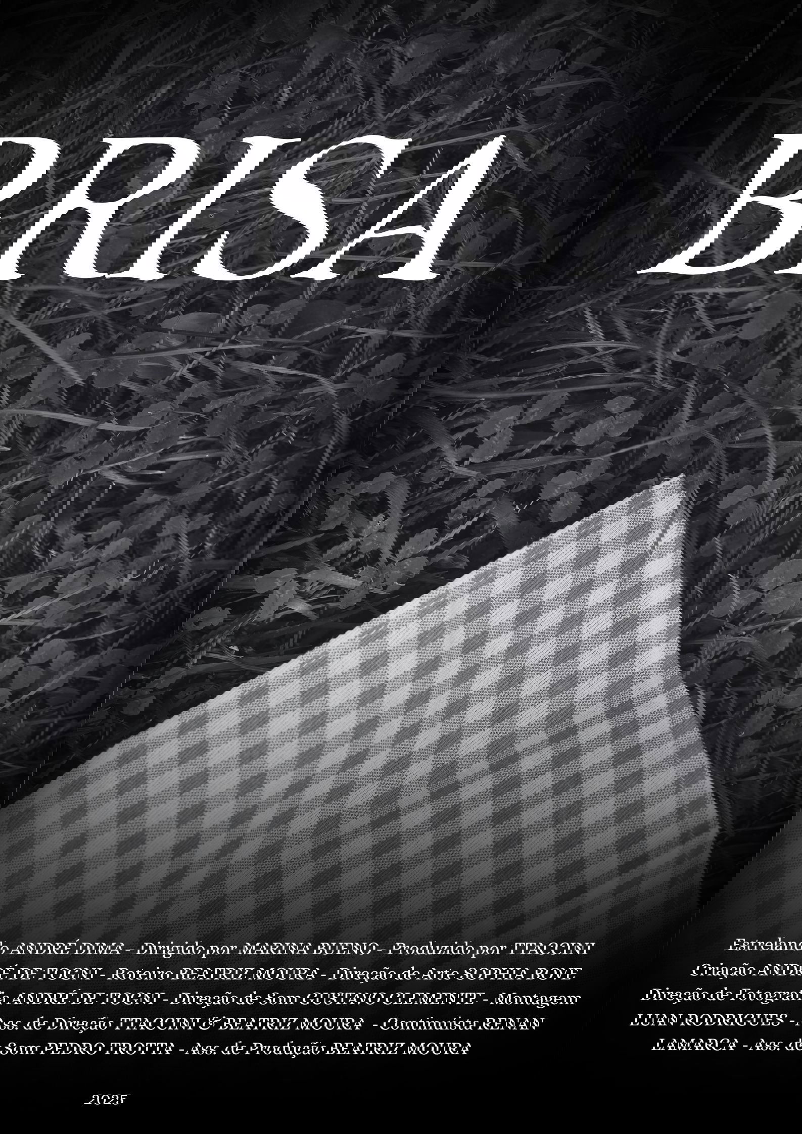 Brisa poster