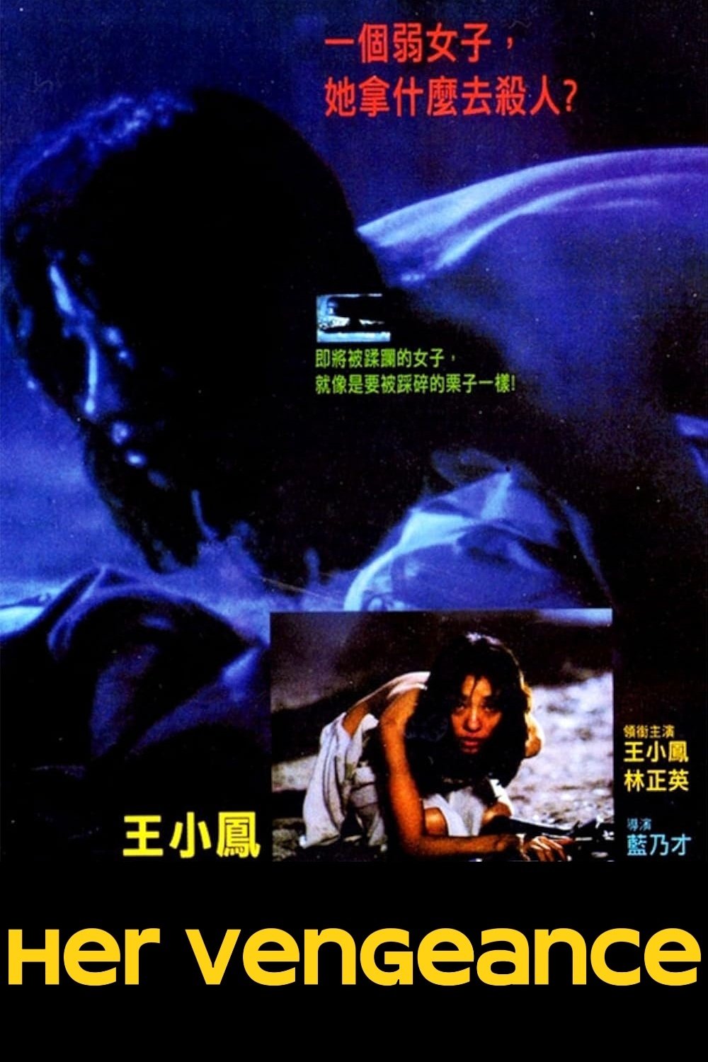 Her Vengeance poster