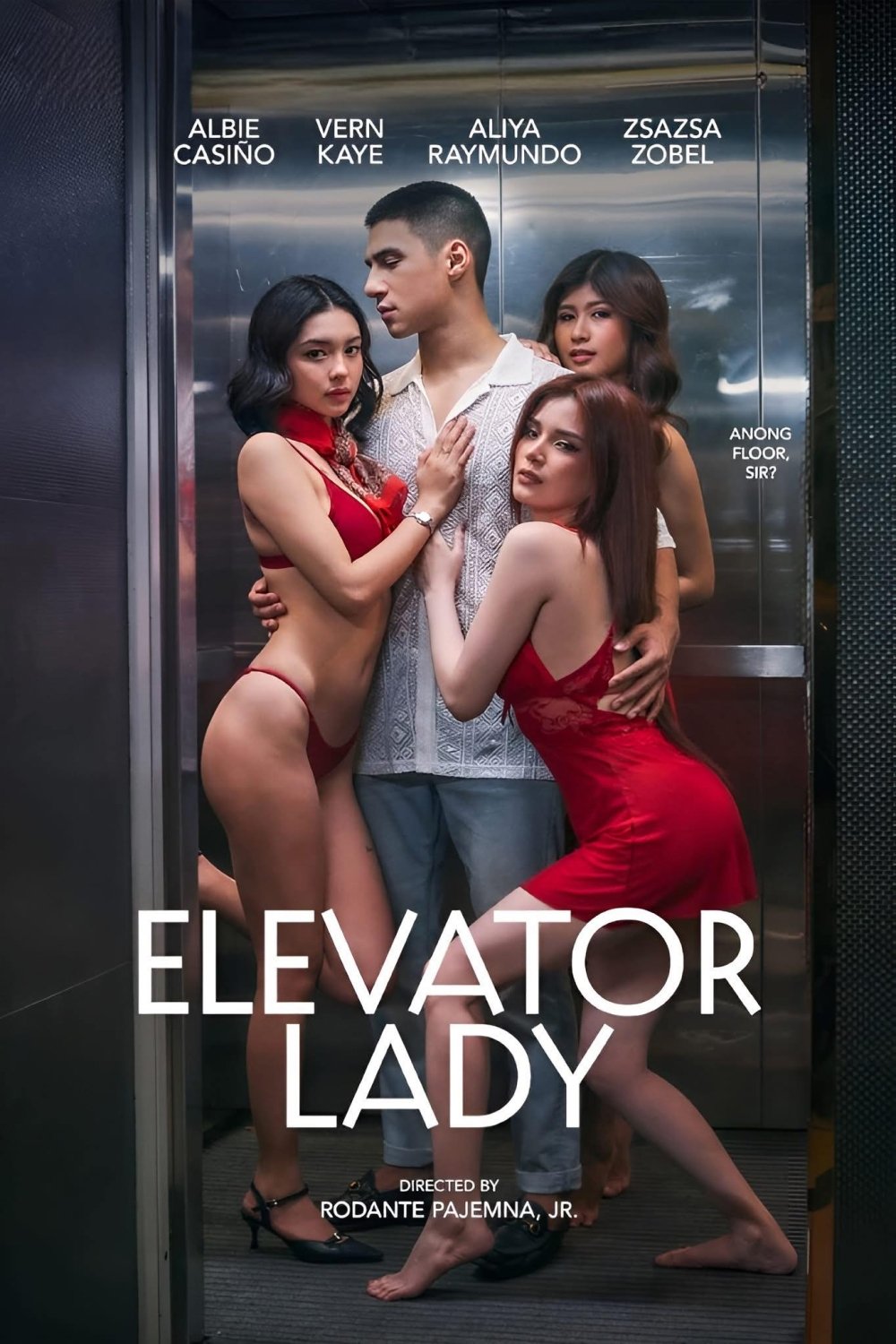 Elevator Lady poster