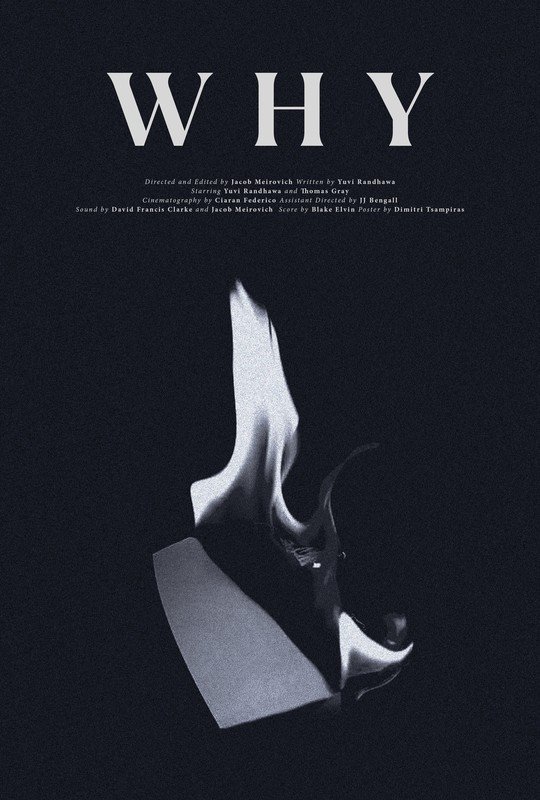 WHY poster