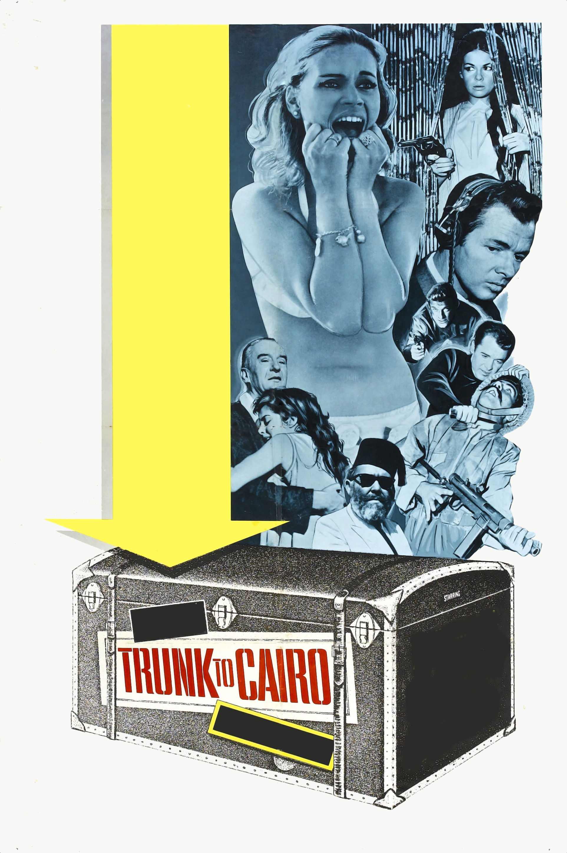 Trunk to Cairo poster