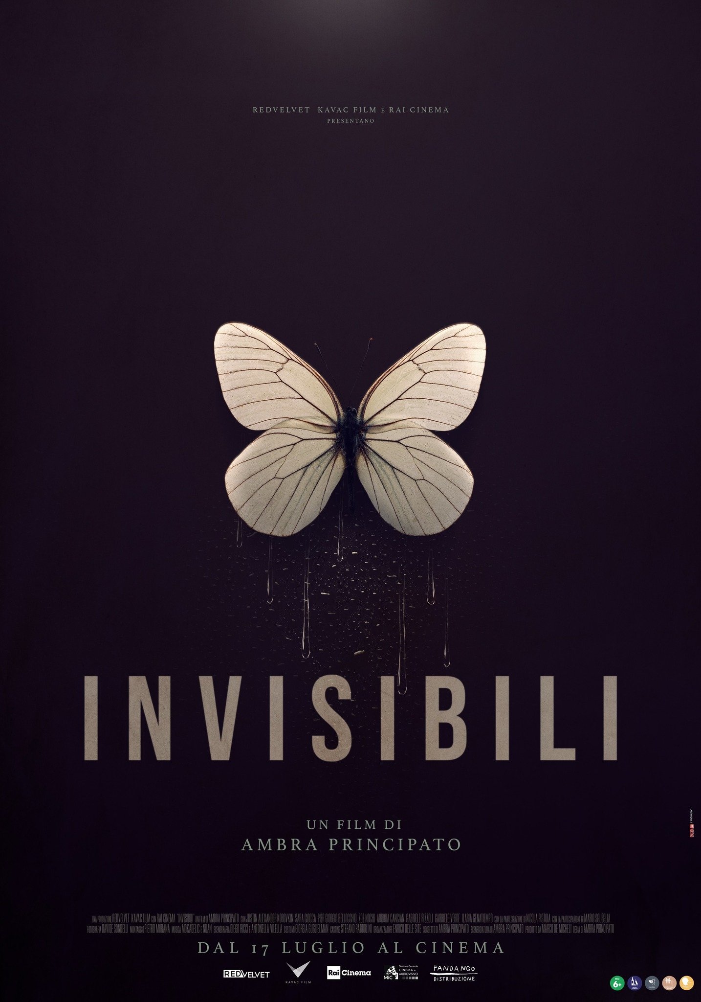 Invisibili poster
