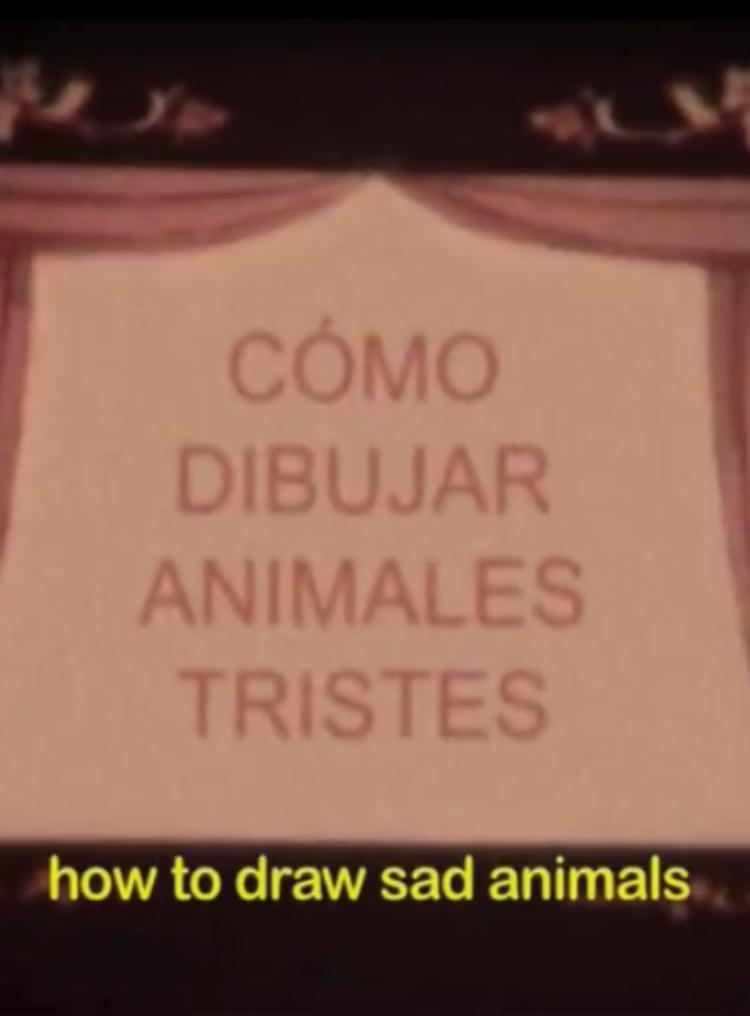 Poster de Cómo dibujar animales tristes o cuaderno de todas las cosas vivas y muertas que imaginé la noche que te fuiste para siempre