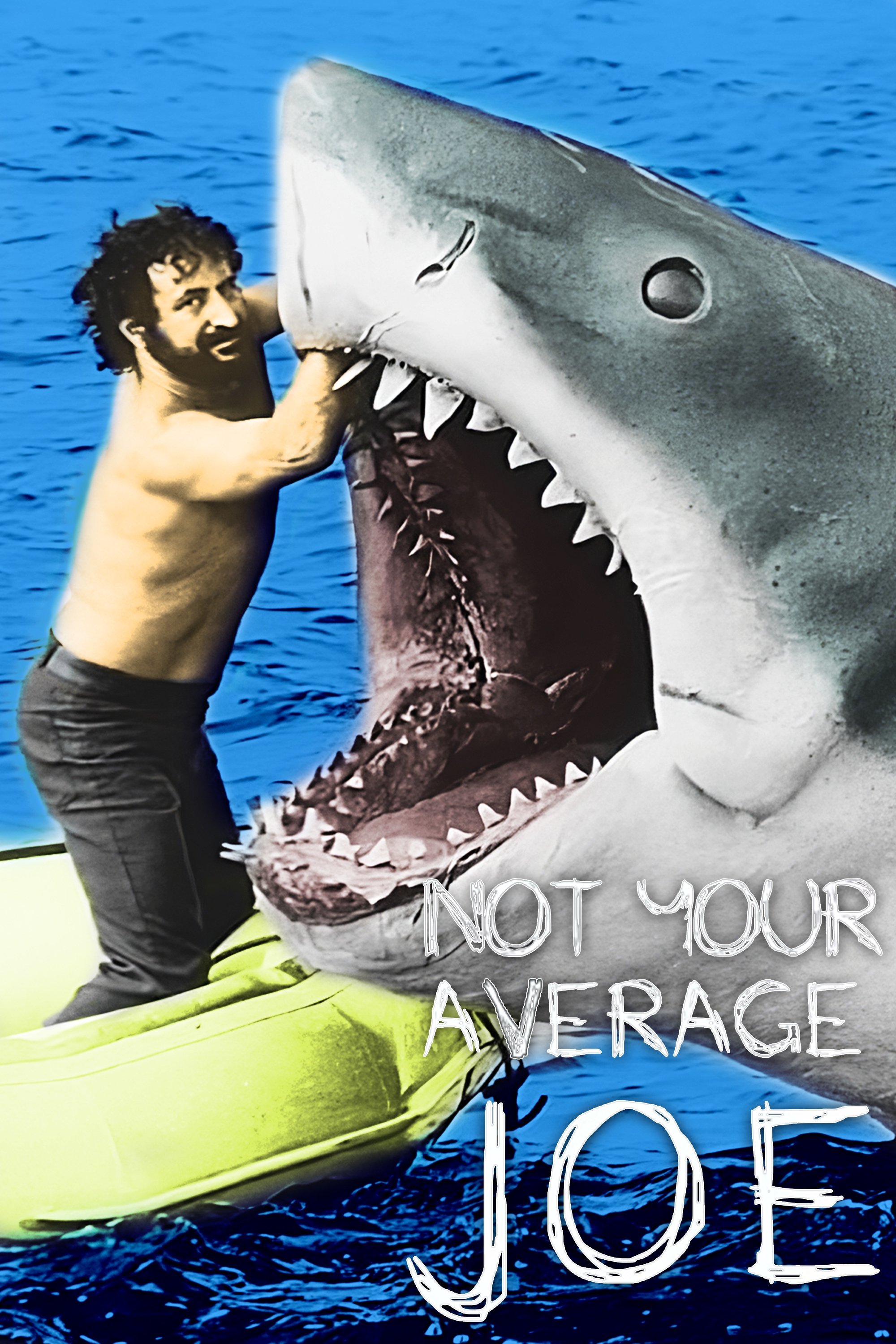 Affiche du film Not Your Average Joe