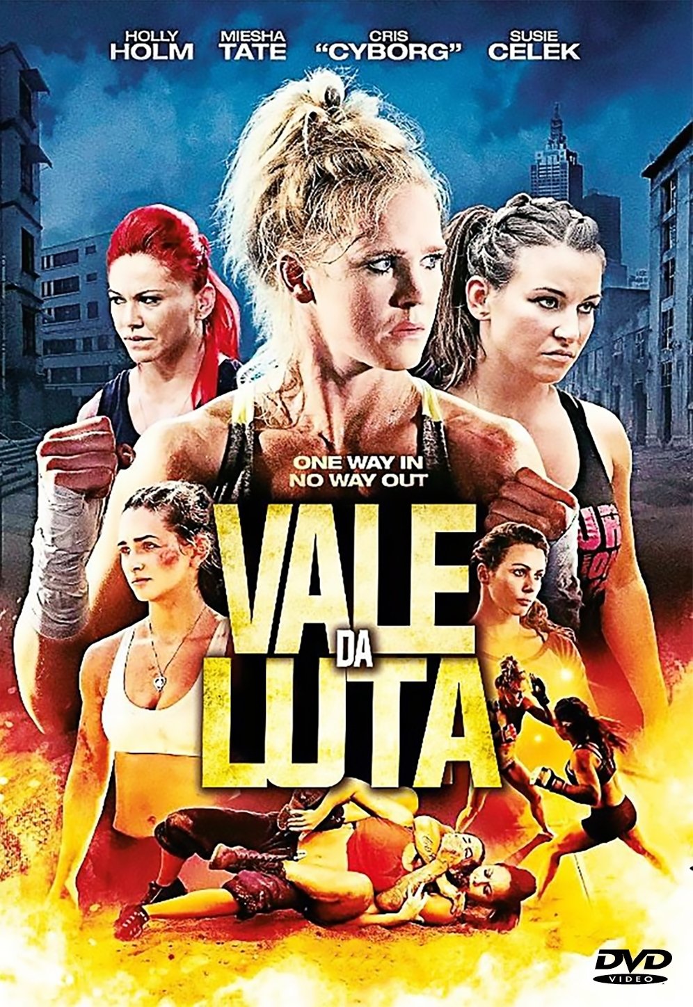 Poster de Vale da Luta