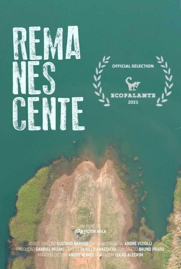 Poster de Remanescente