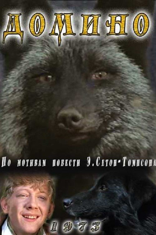 Poster de Домино