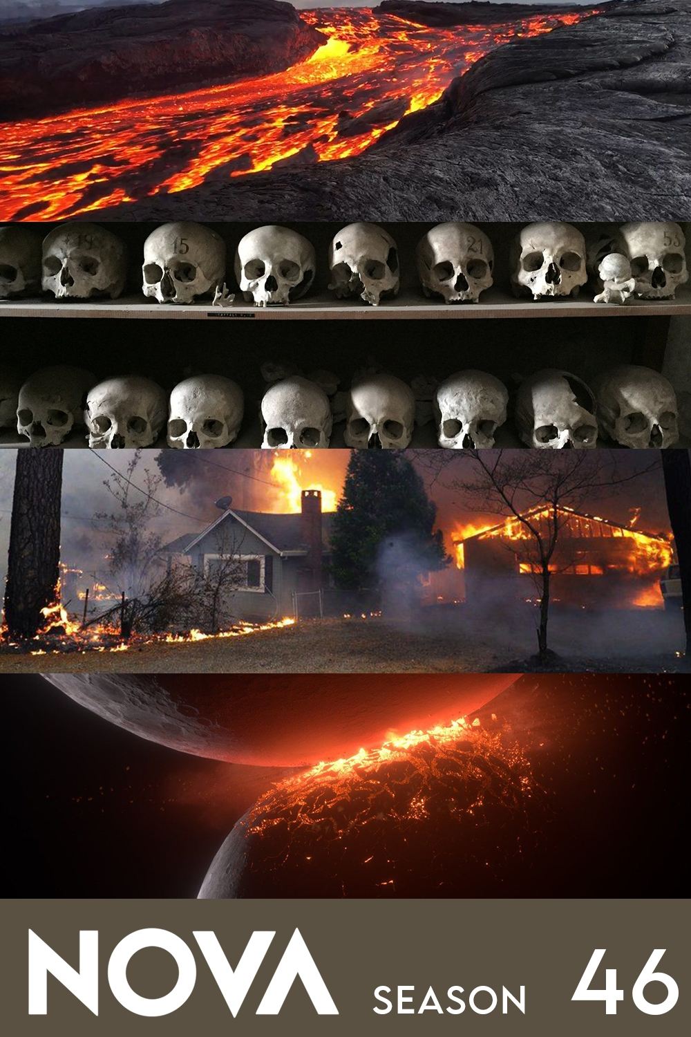 Poster de Temporada 46