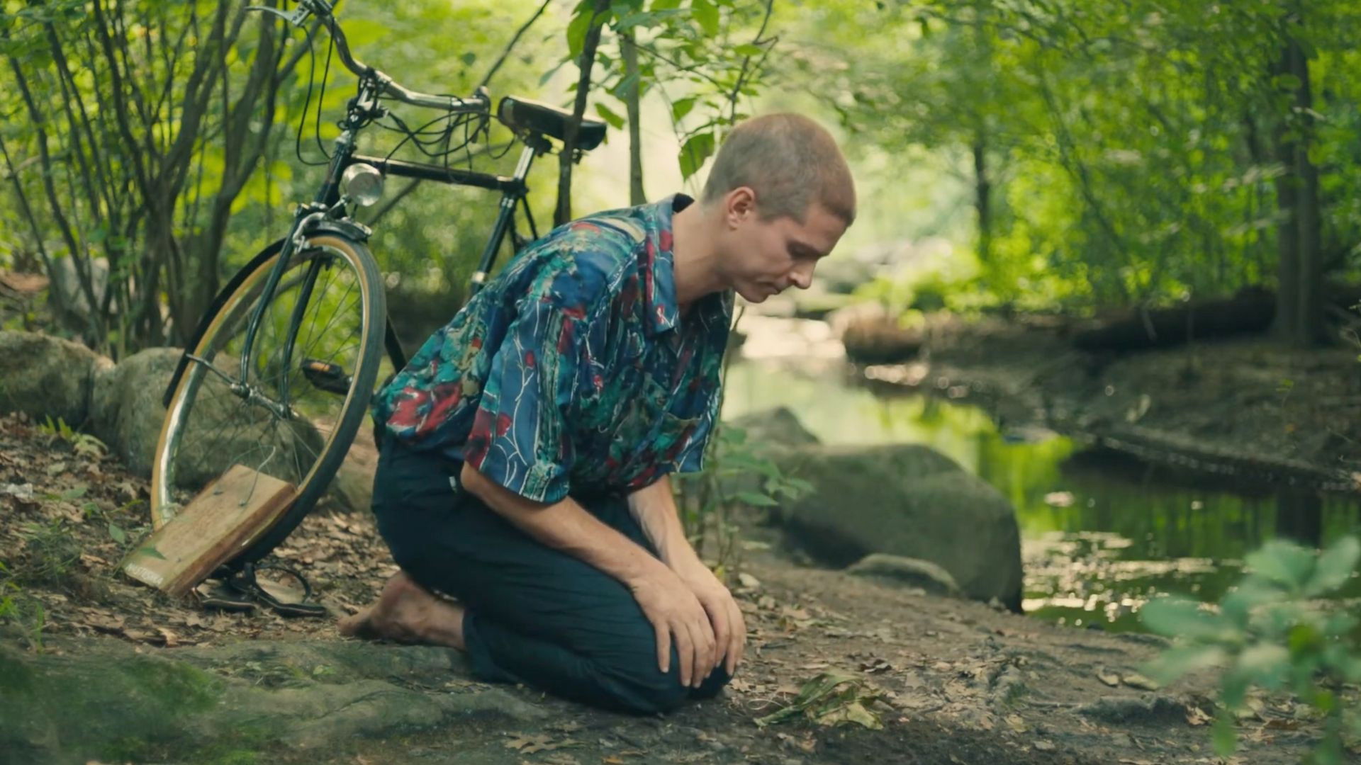 The Poet and the Plant