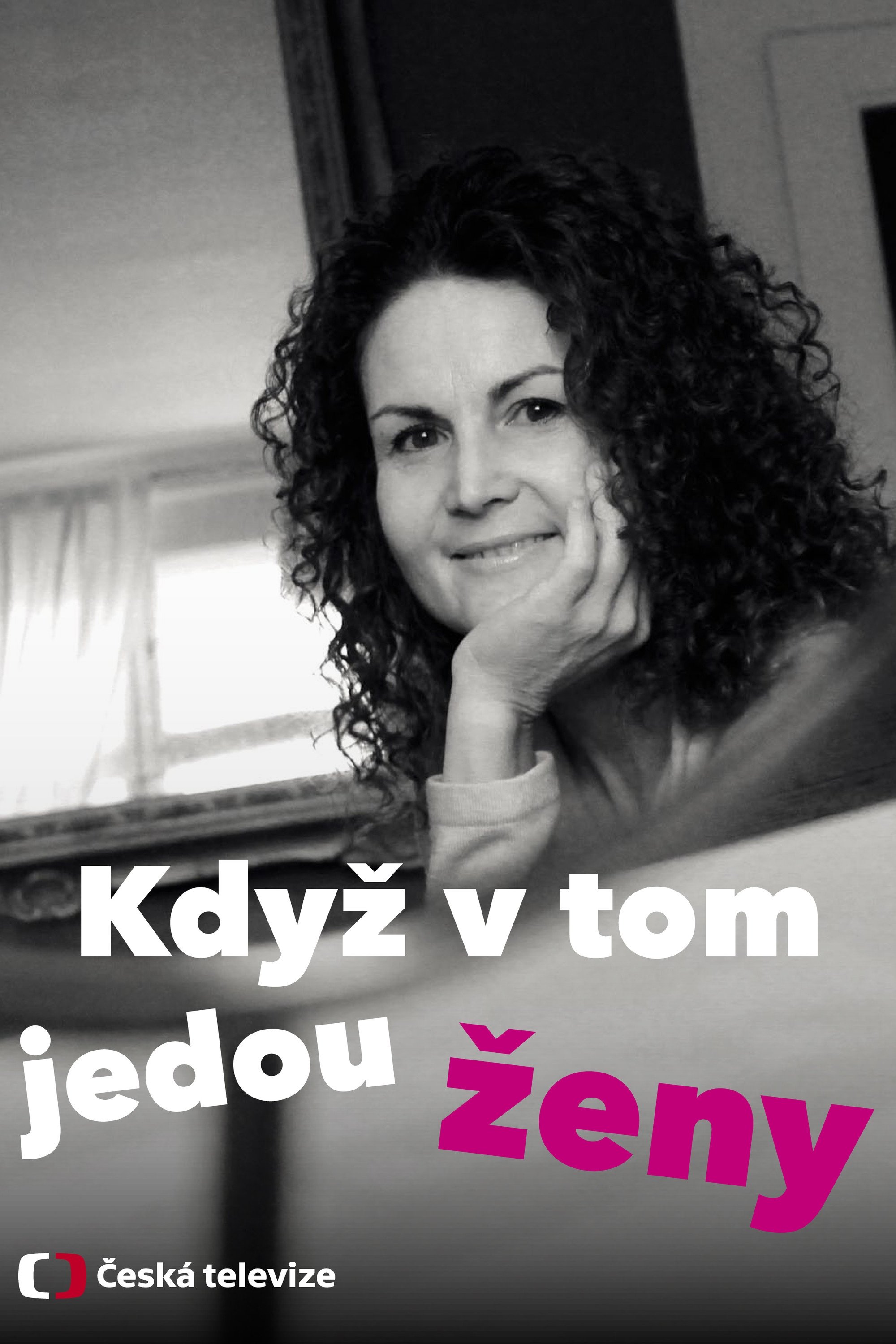 Poster de Když v tom jedou ženy