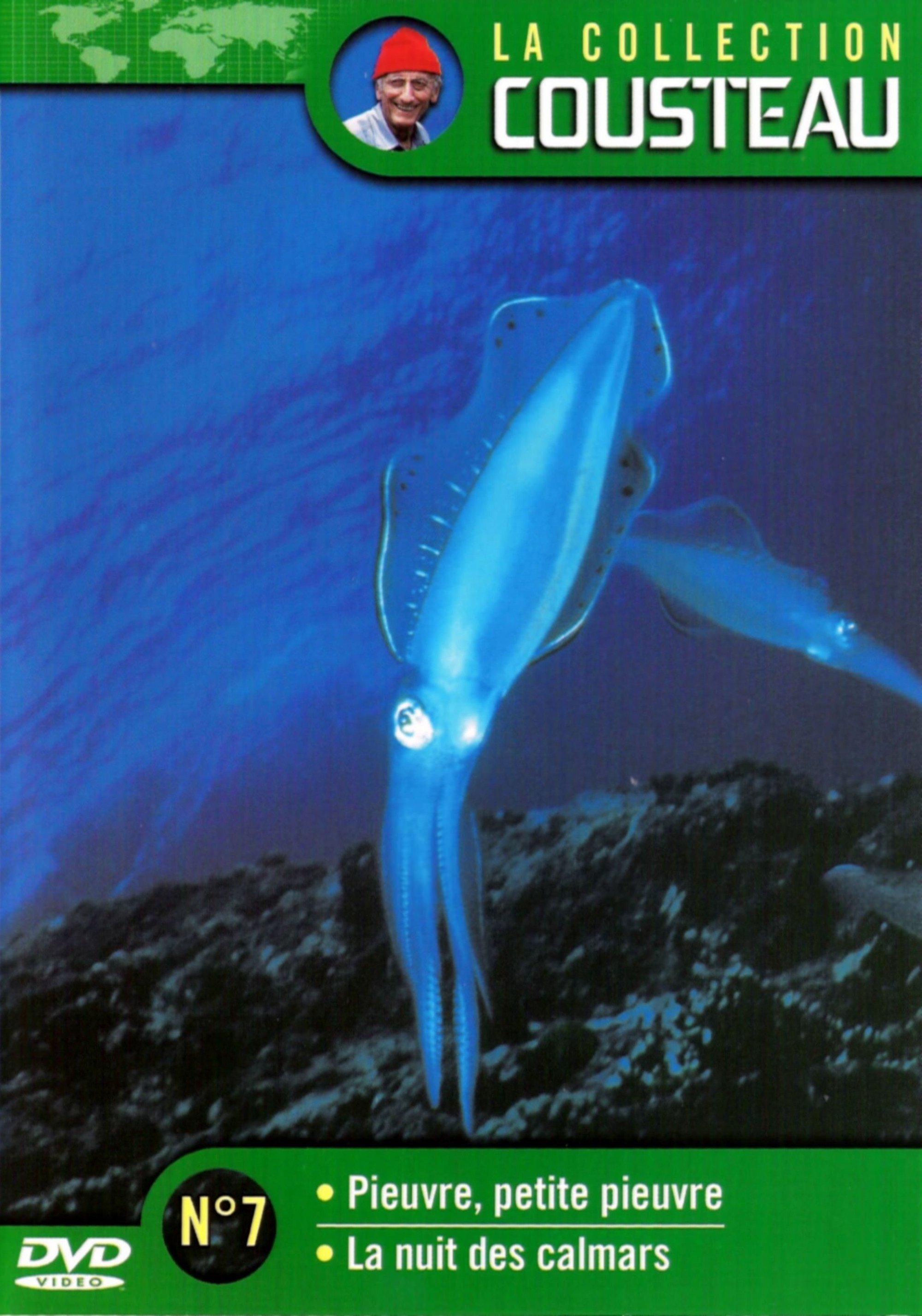 Poster de La collection Cousteau N°7 | Pieuvre, petite pieuvre | La nuit des calmars