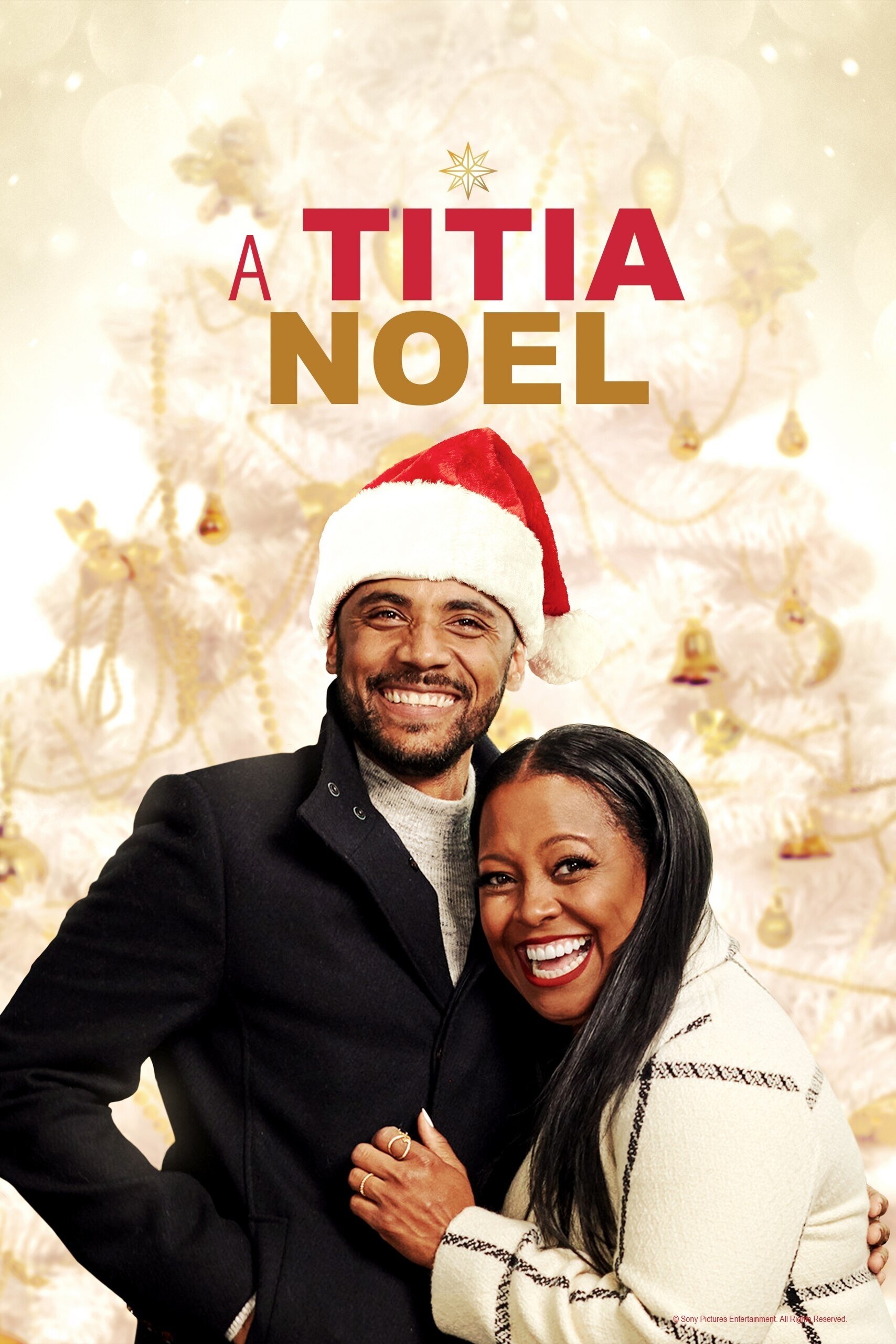 Poster de A Titia Noel