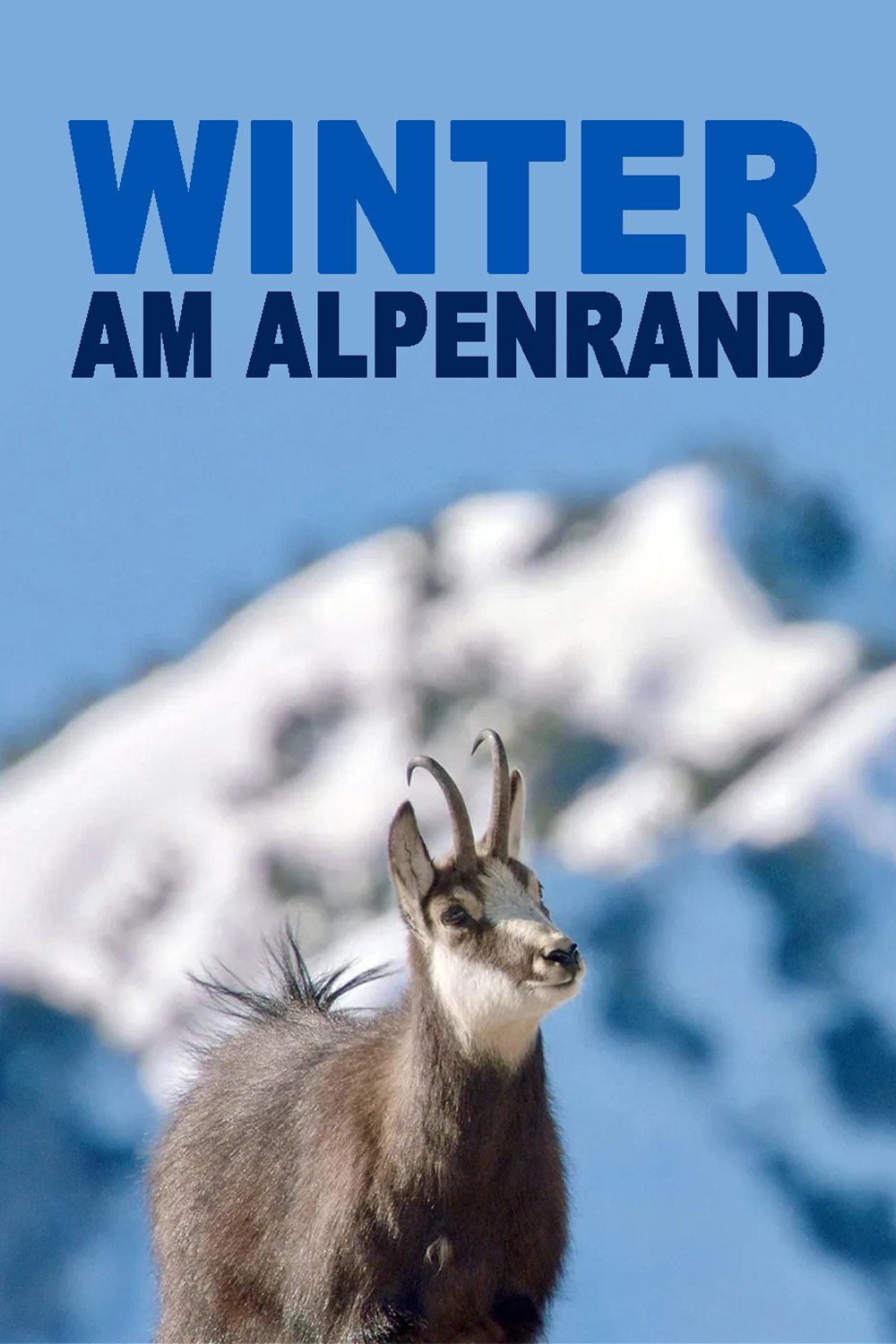 Poster de Winter am Alpenrand