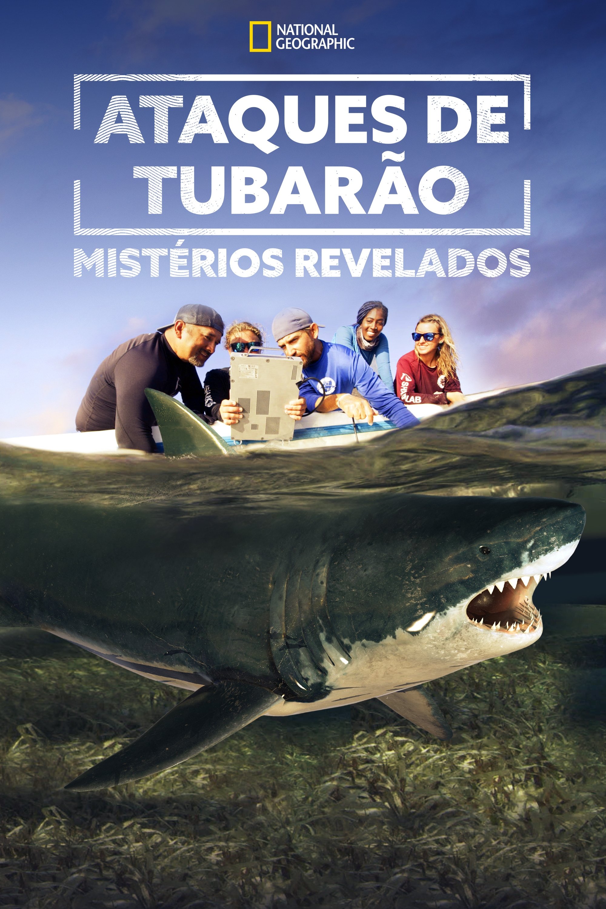 Poster de Ataques de Tubarão: Mistérios Revelados