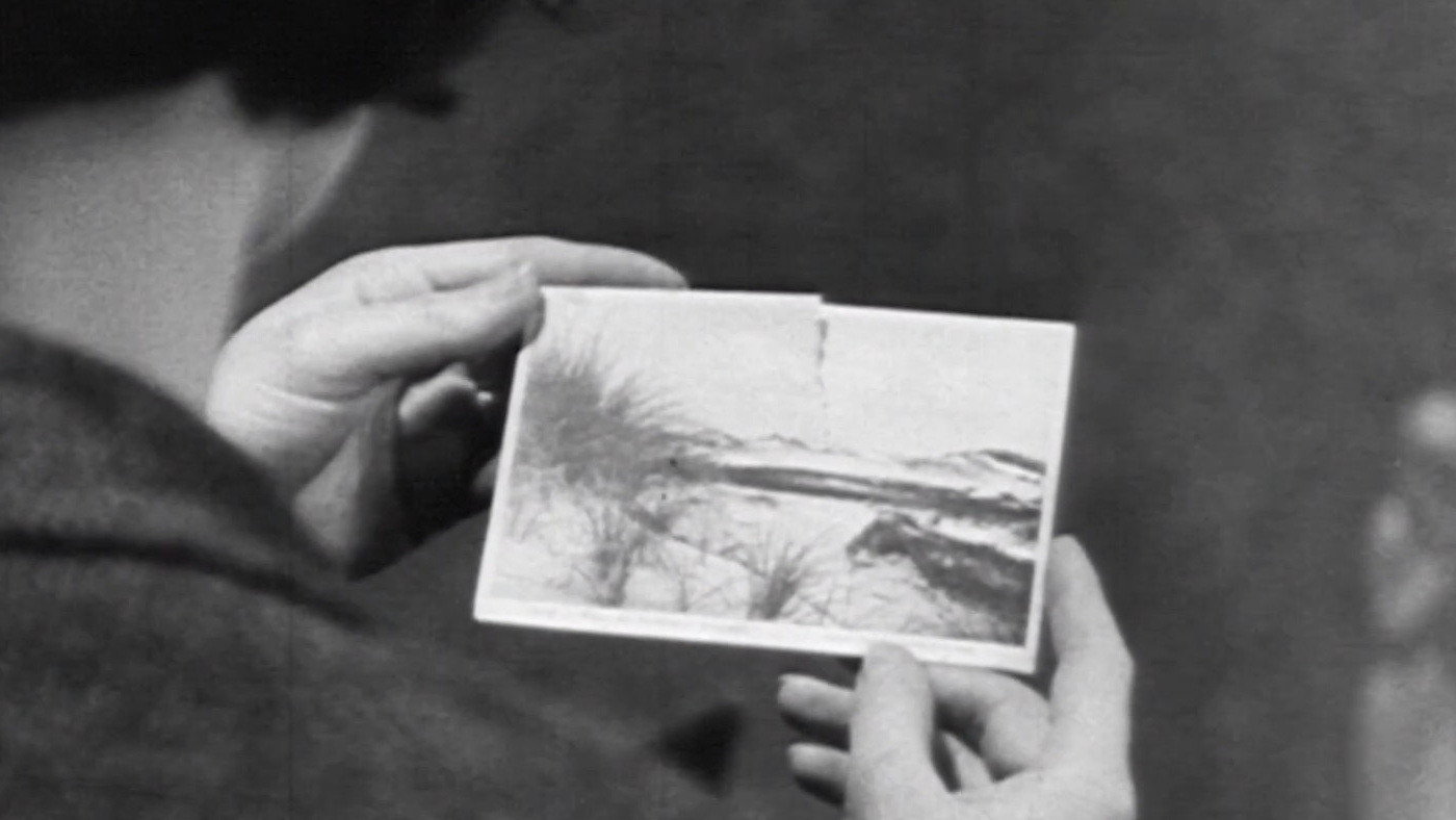 Director