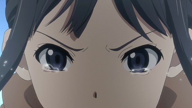 Determination and Resolution