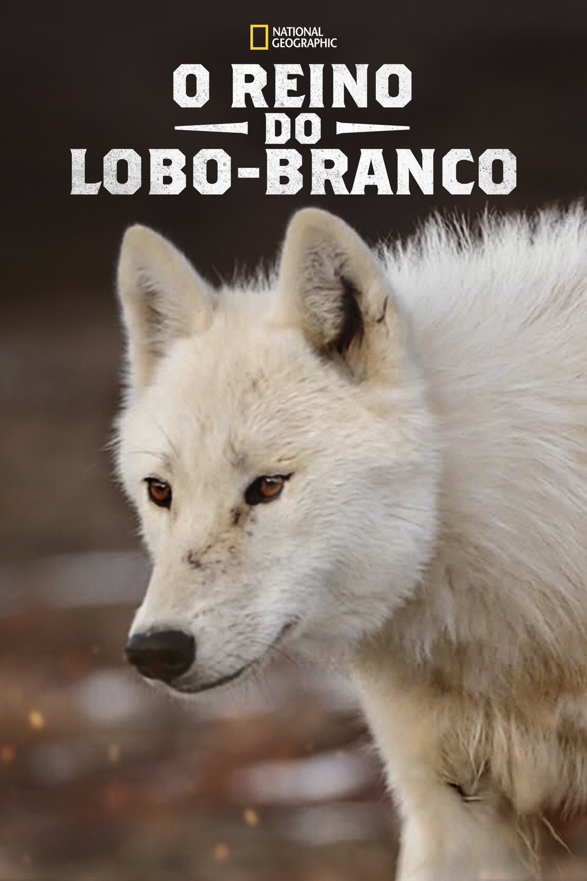 Poster de O Reino do Lobo-Branco