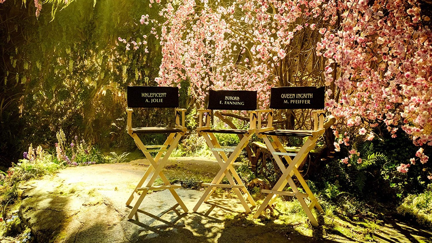 Backdrop image