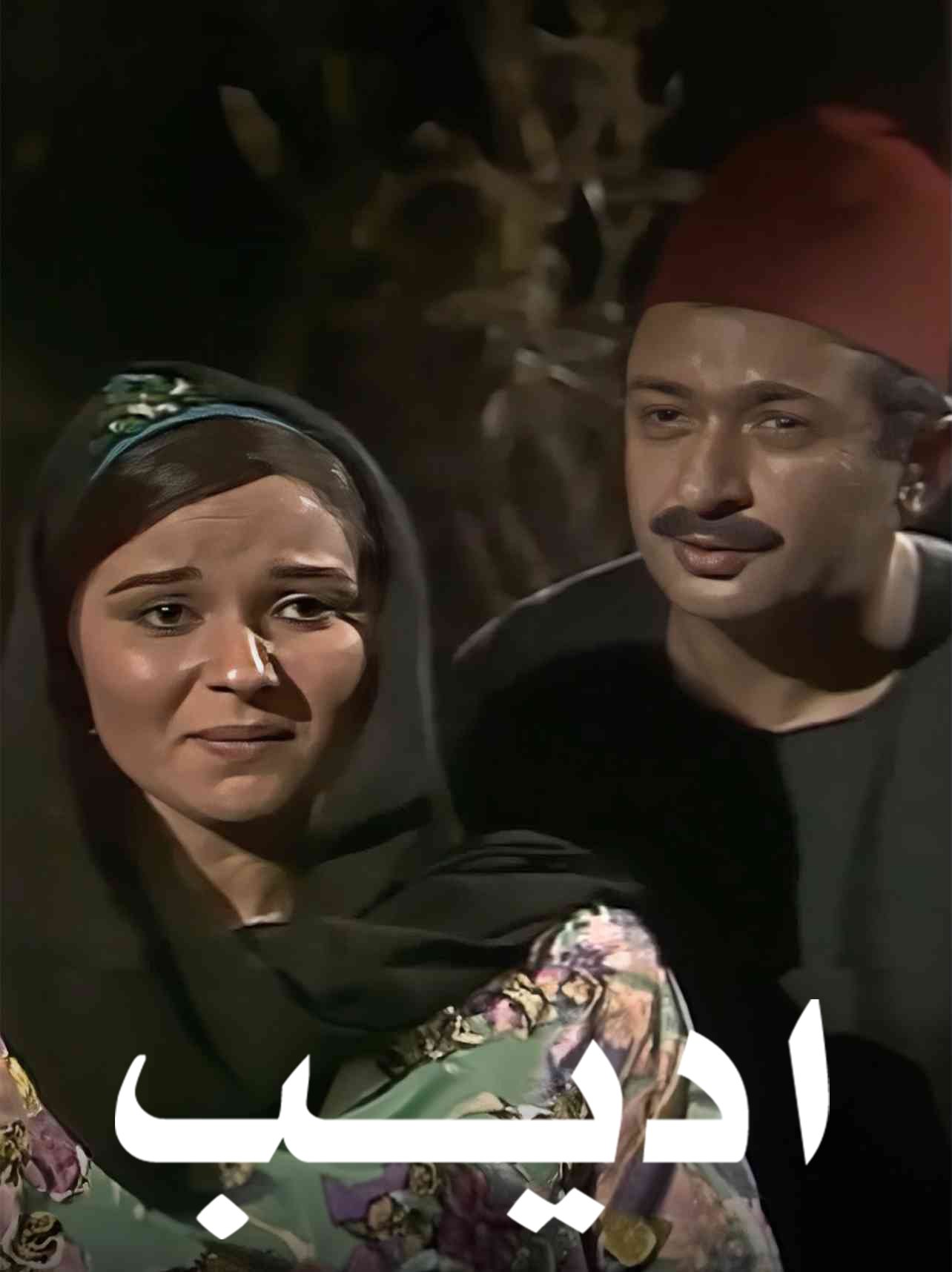 Poster de أديب