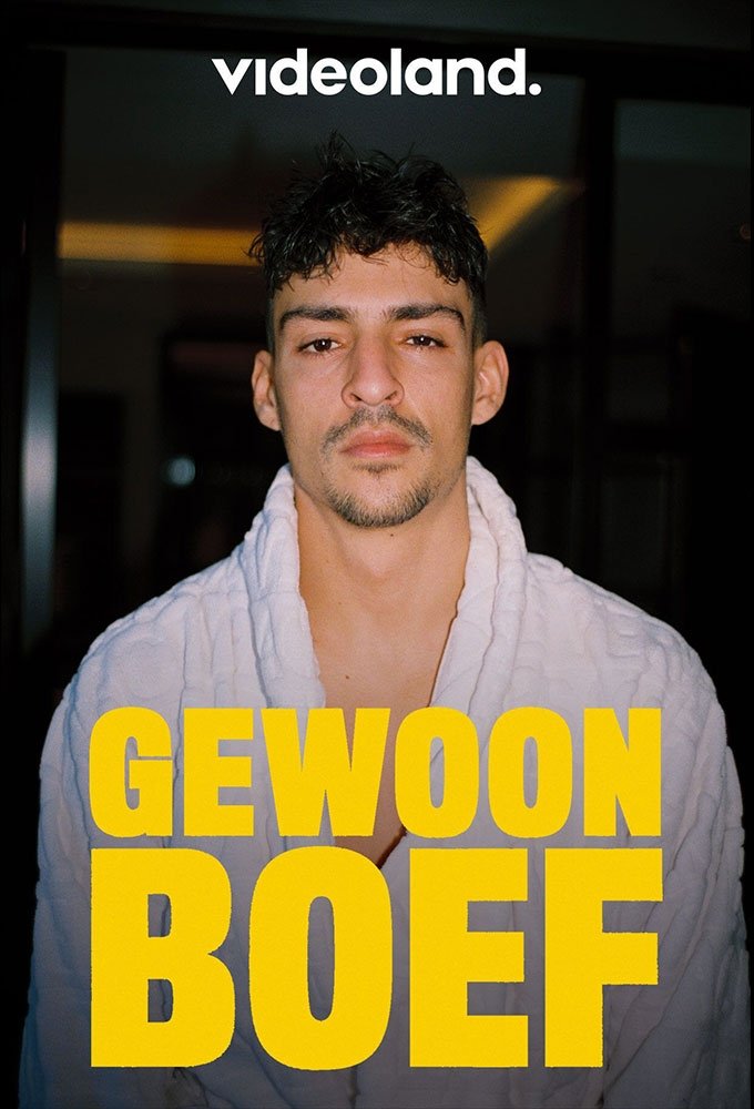 Poster de Gewoon Boef