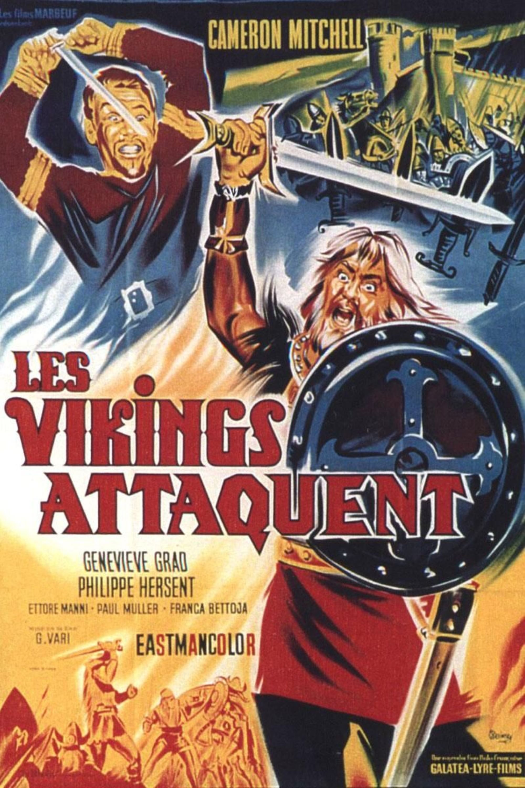 Affiche du film Les Vikings attaquent