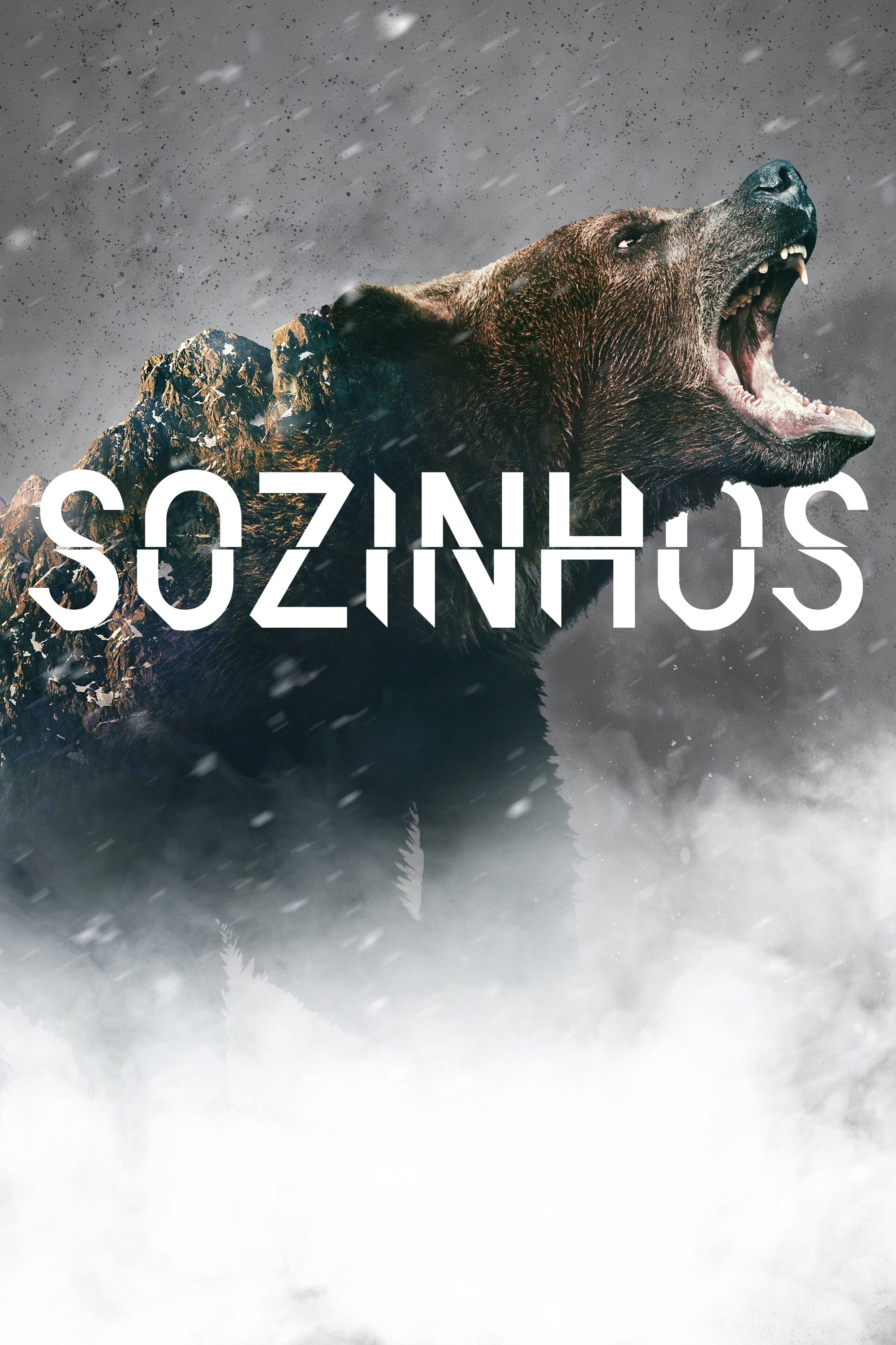 Poster de Sozinhos