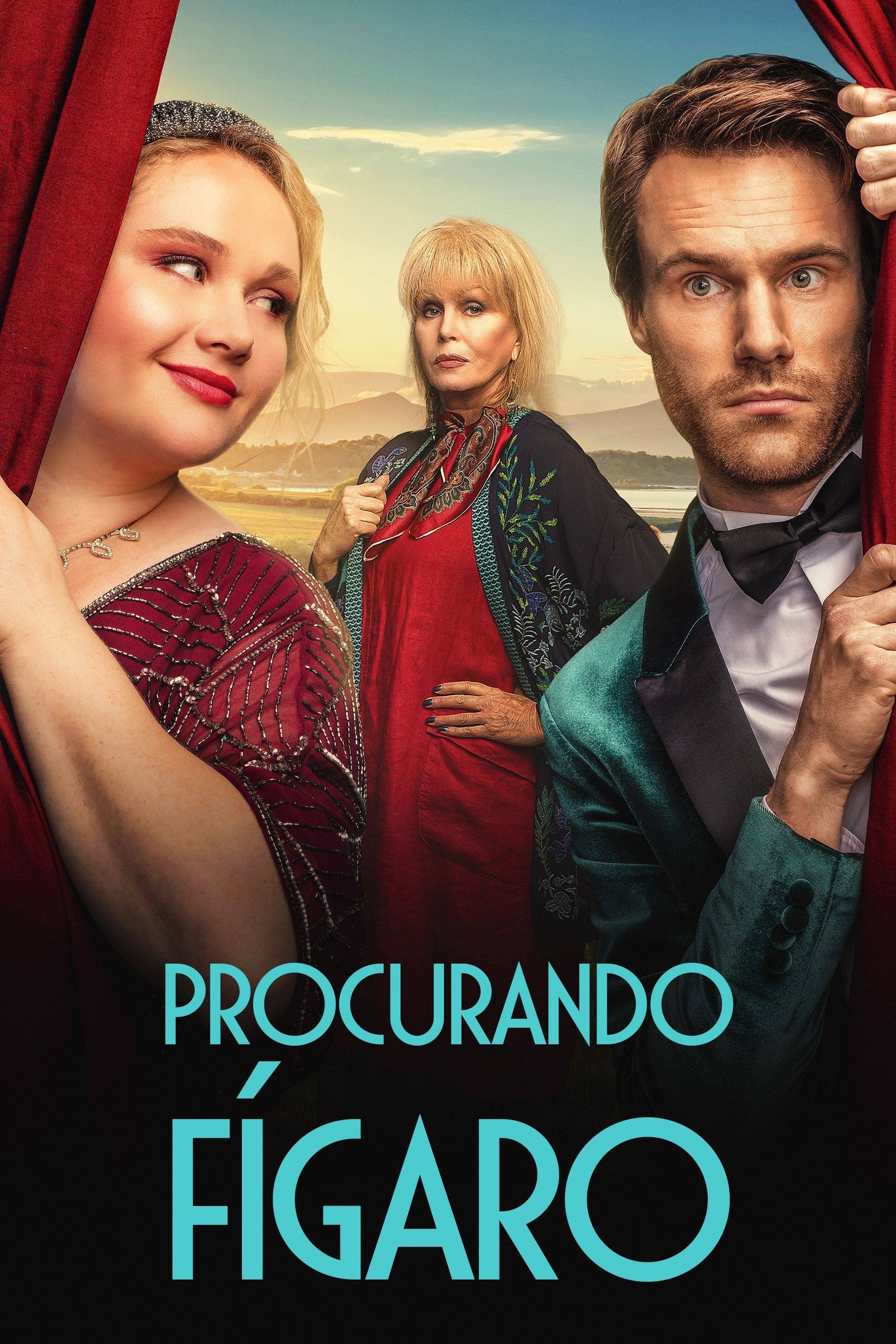 Poster de Procurando Fígaro