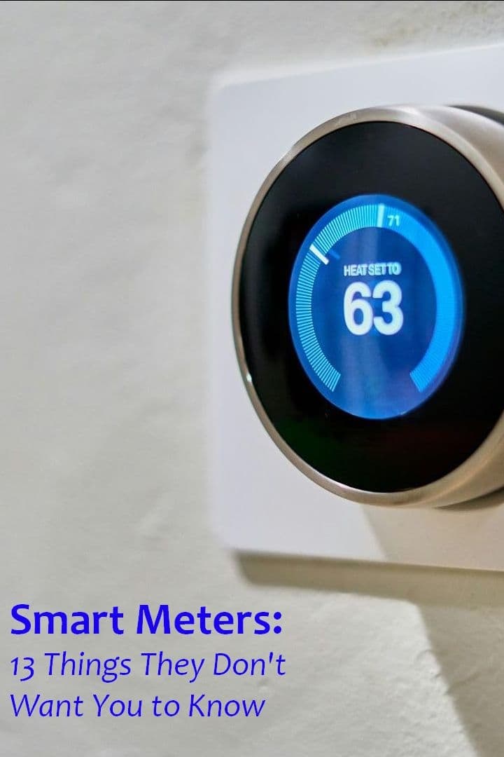 Poster de Smart Meters: 13 Things They Don't Want You to Know