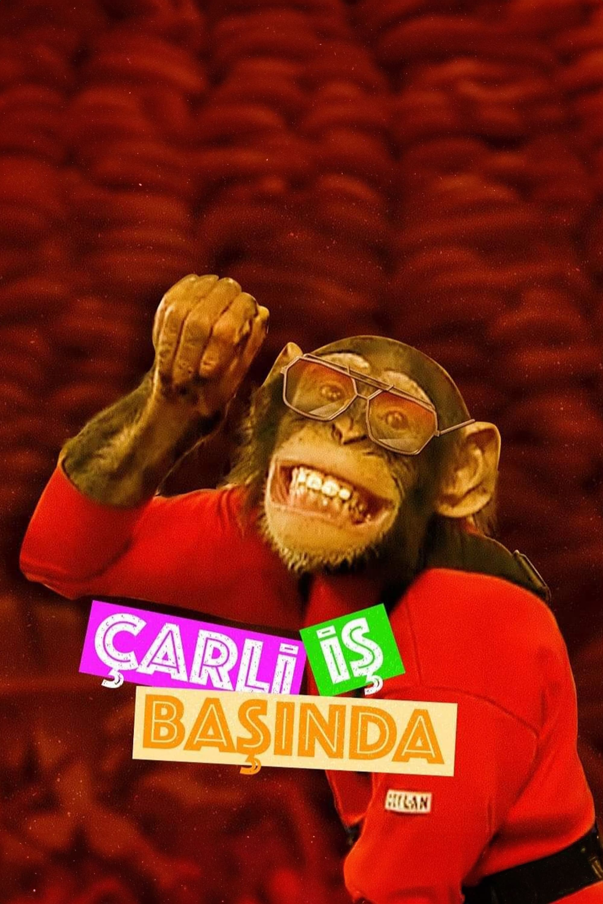 Poster de Çarli İş Başında