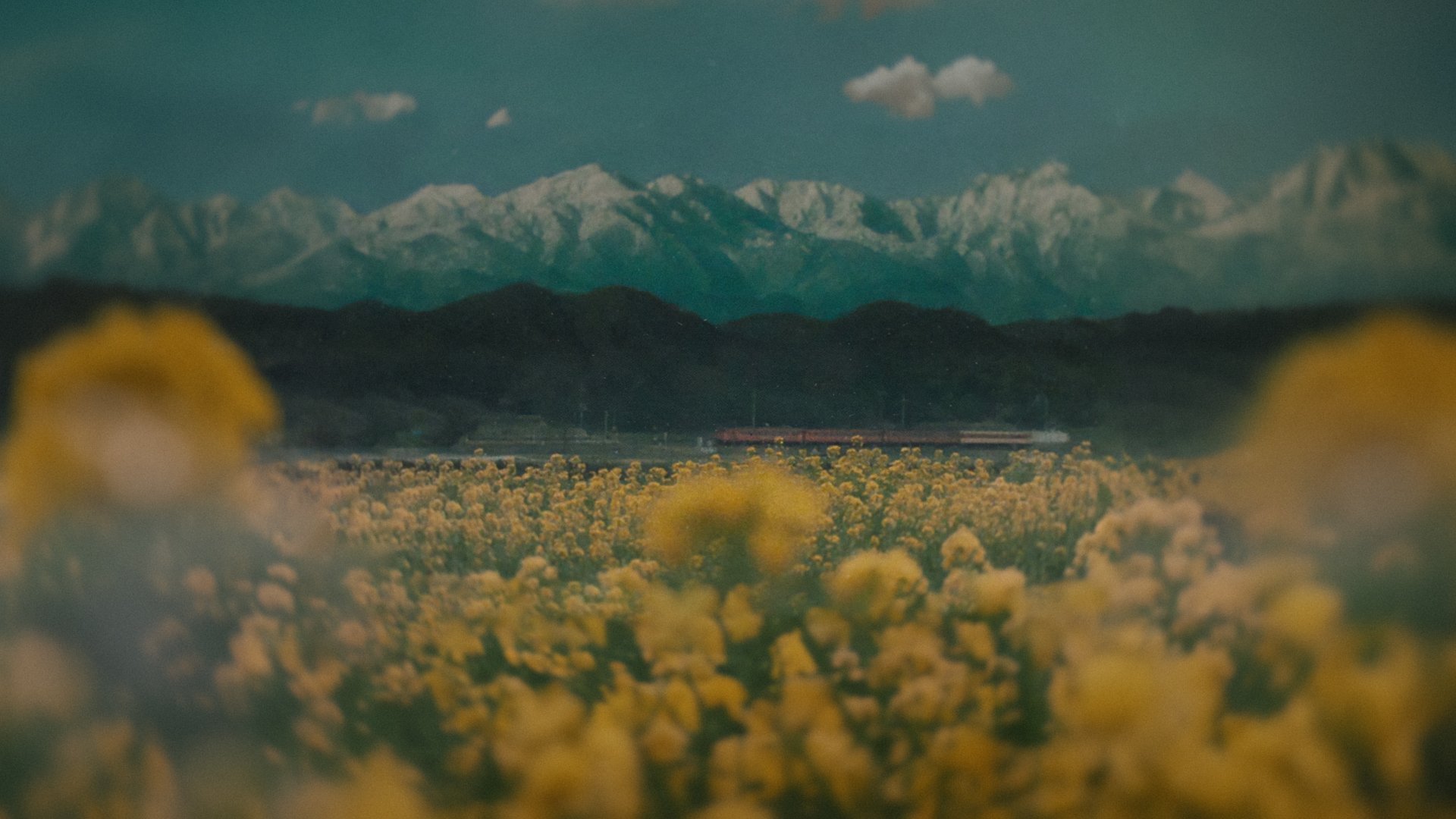 Backdrop image