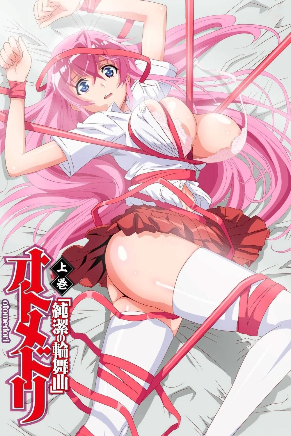 Poster de Otome Dori