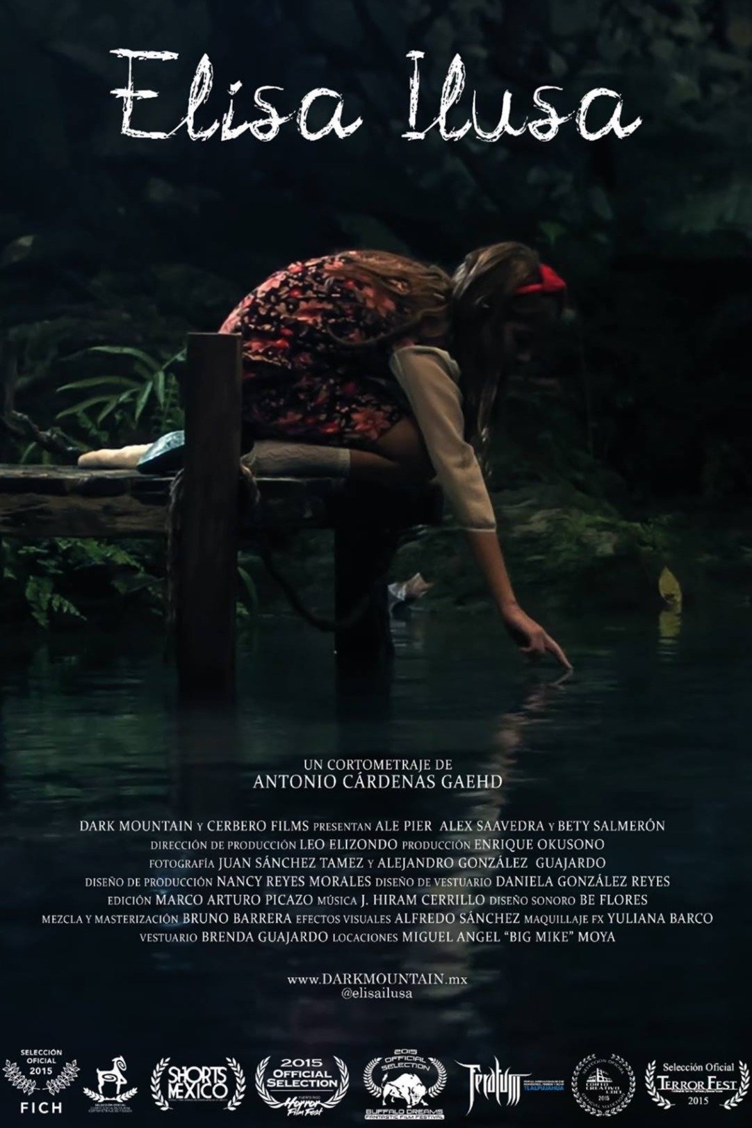Poster de Elisa Ilusa