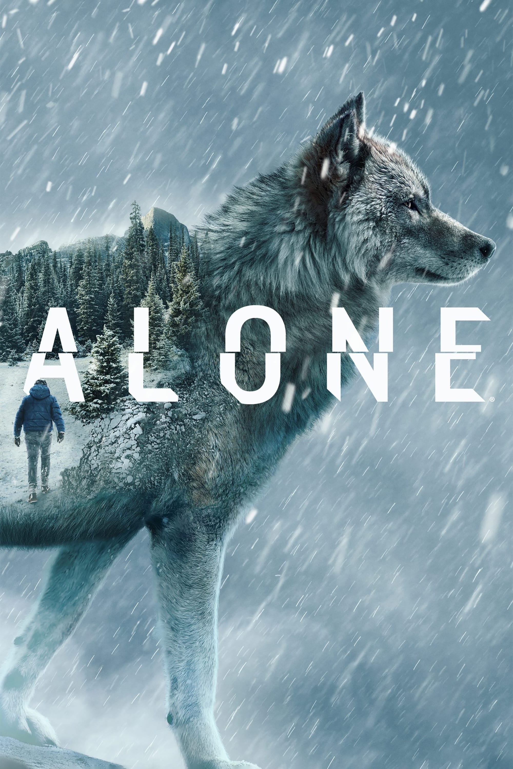 Poster de Temporada 11