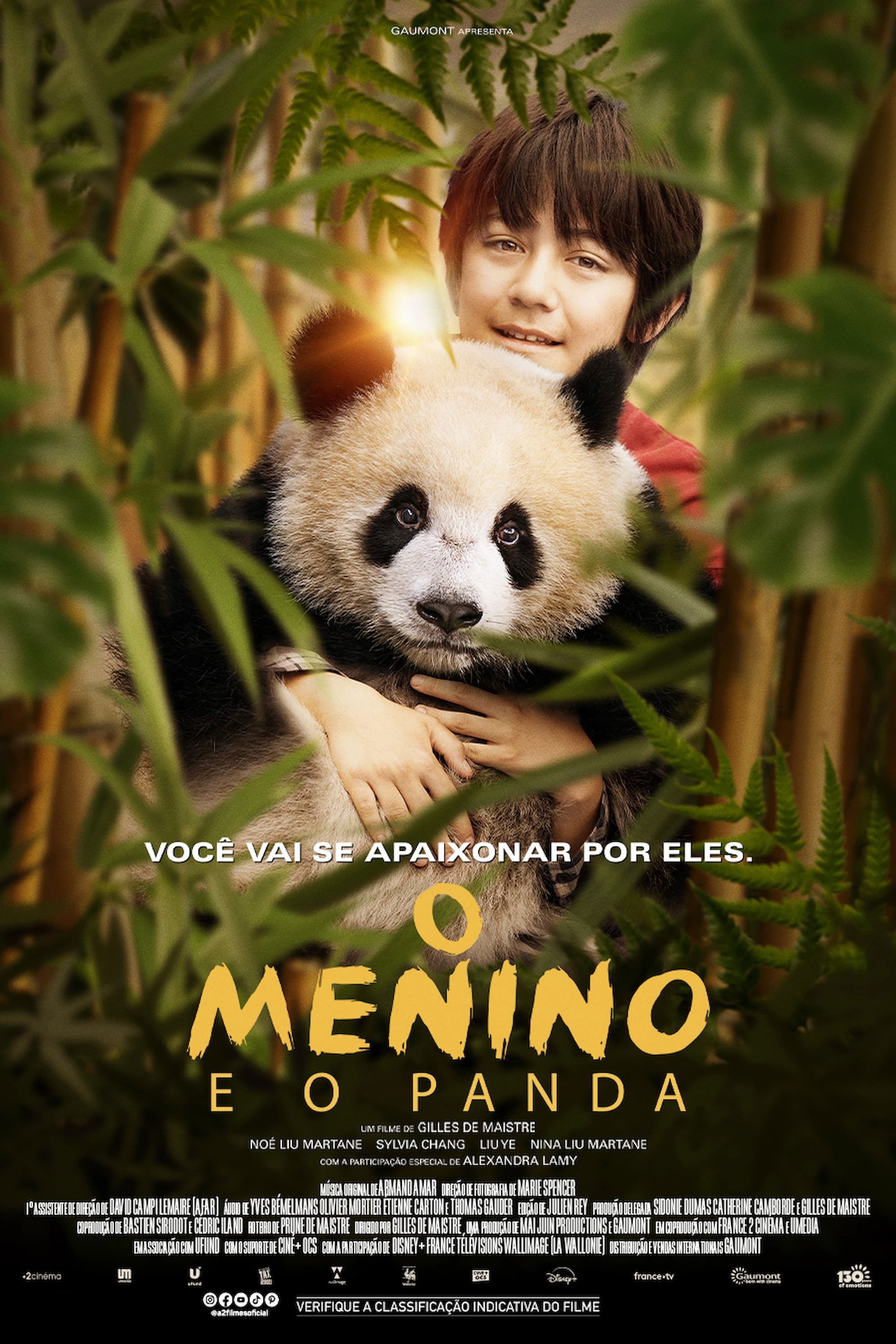 Poster de O Menino e o Panda