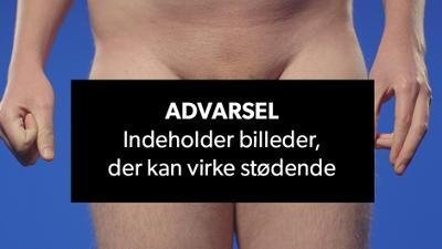 Mig og min pik/fisse