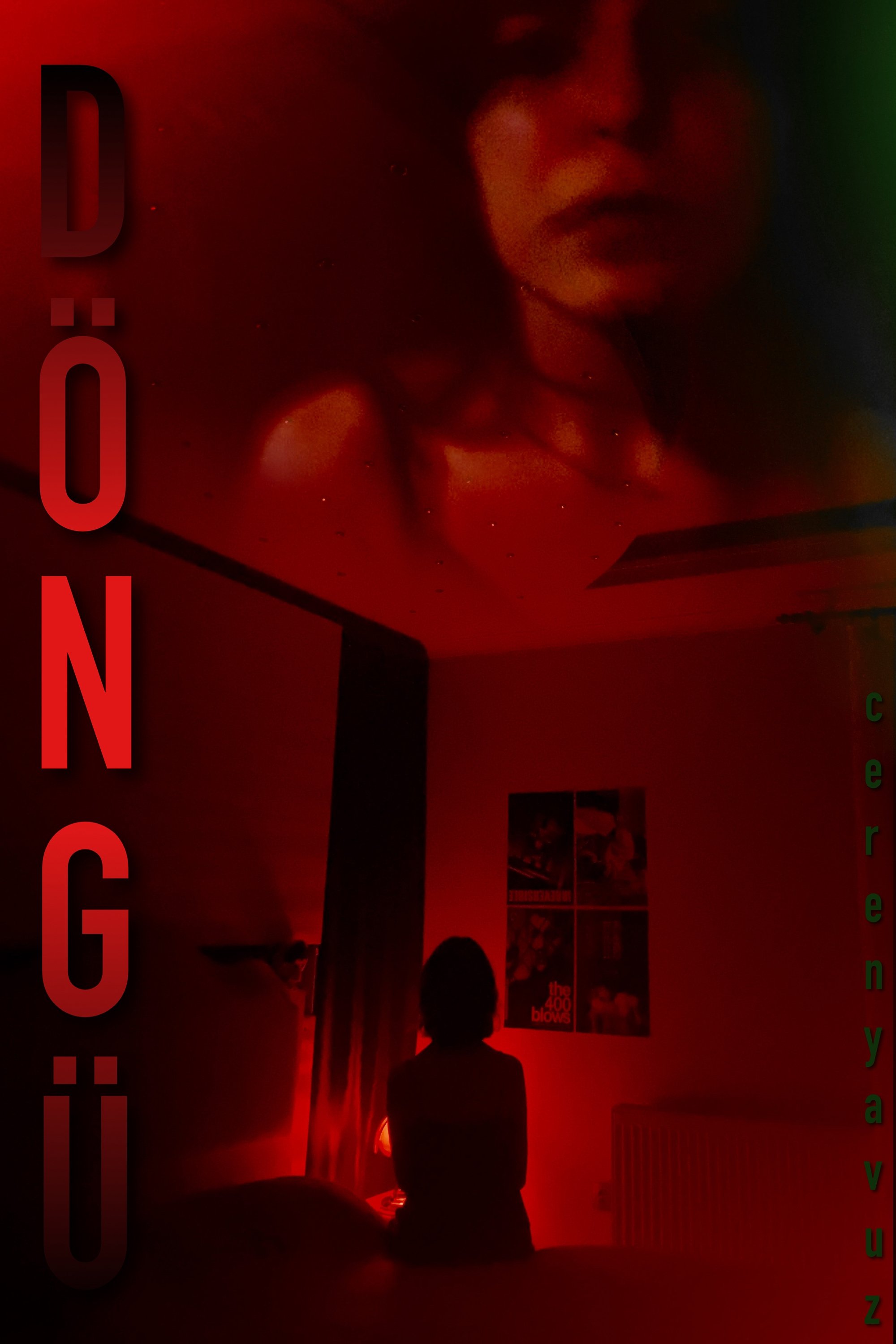Poster de Döngü